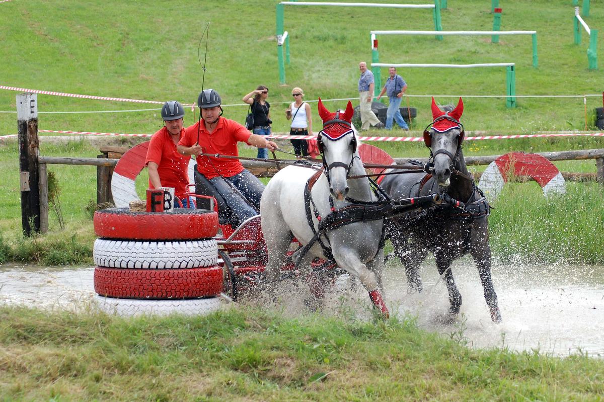 Dostihové závodiště Radslavice foto 5