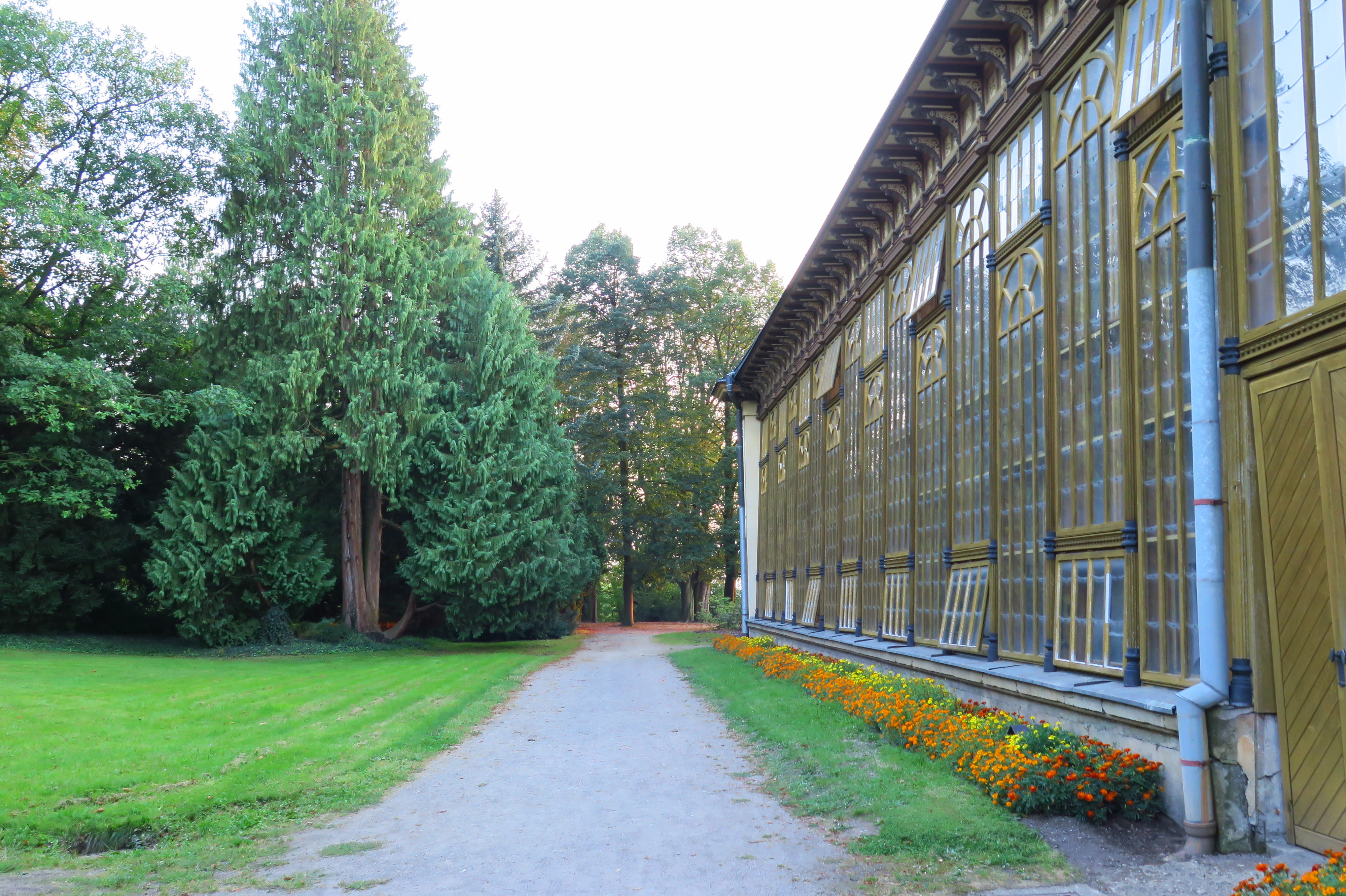 Městská knihovna Opočno foto 3