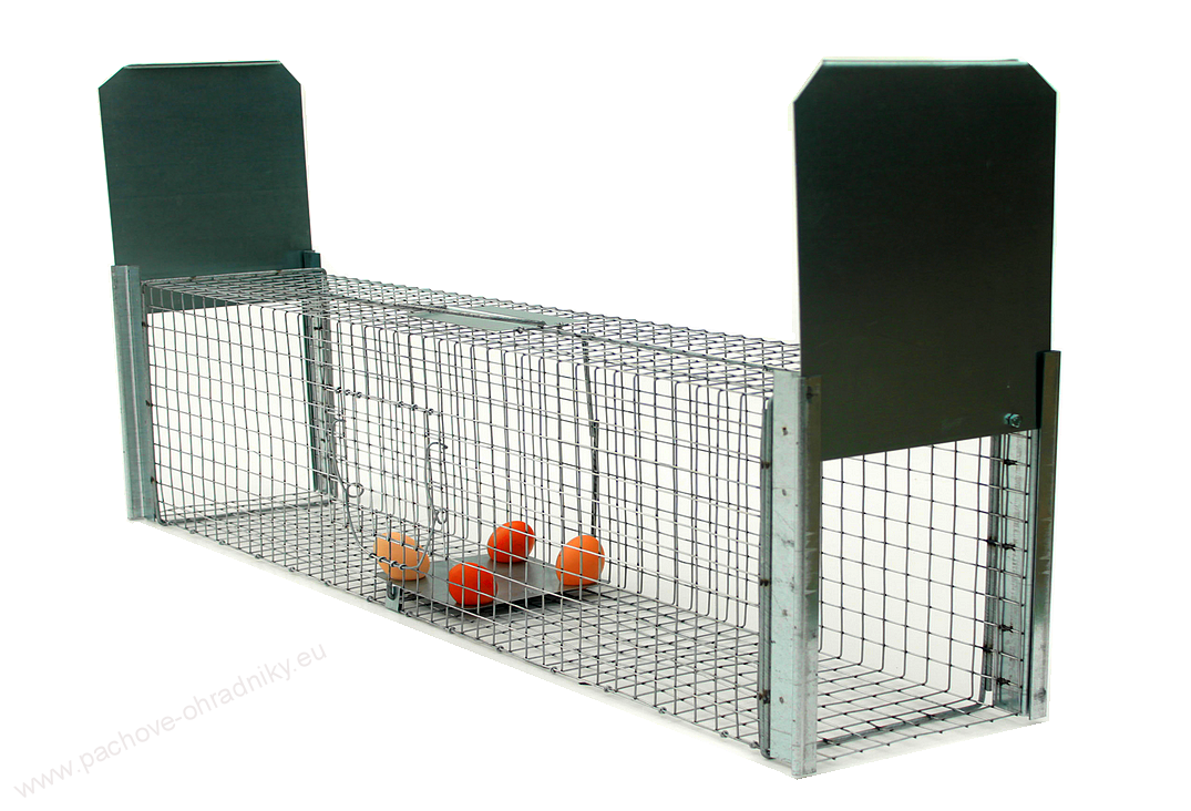 Pachove-ohradniky.eu foto 4