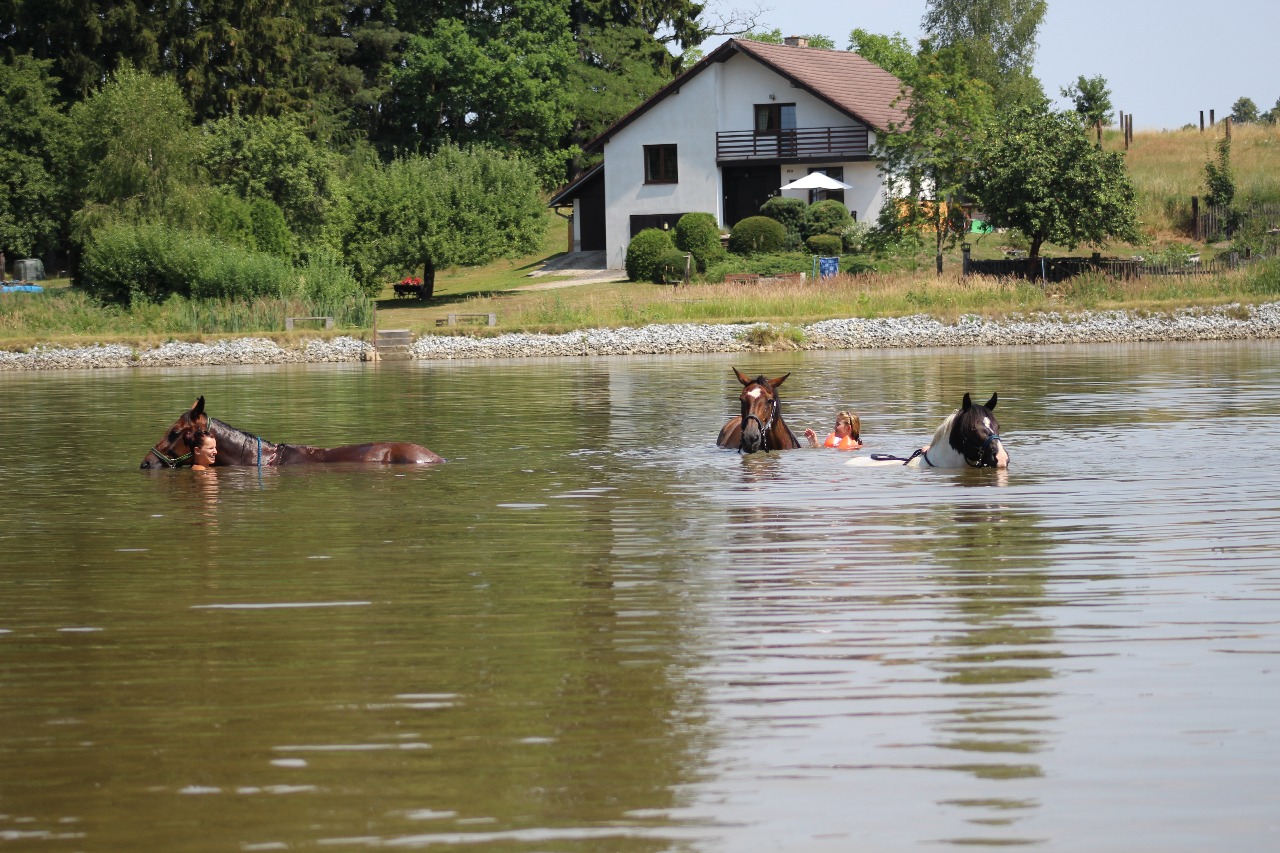 Ekofarma Šťástkovi foto 3