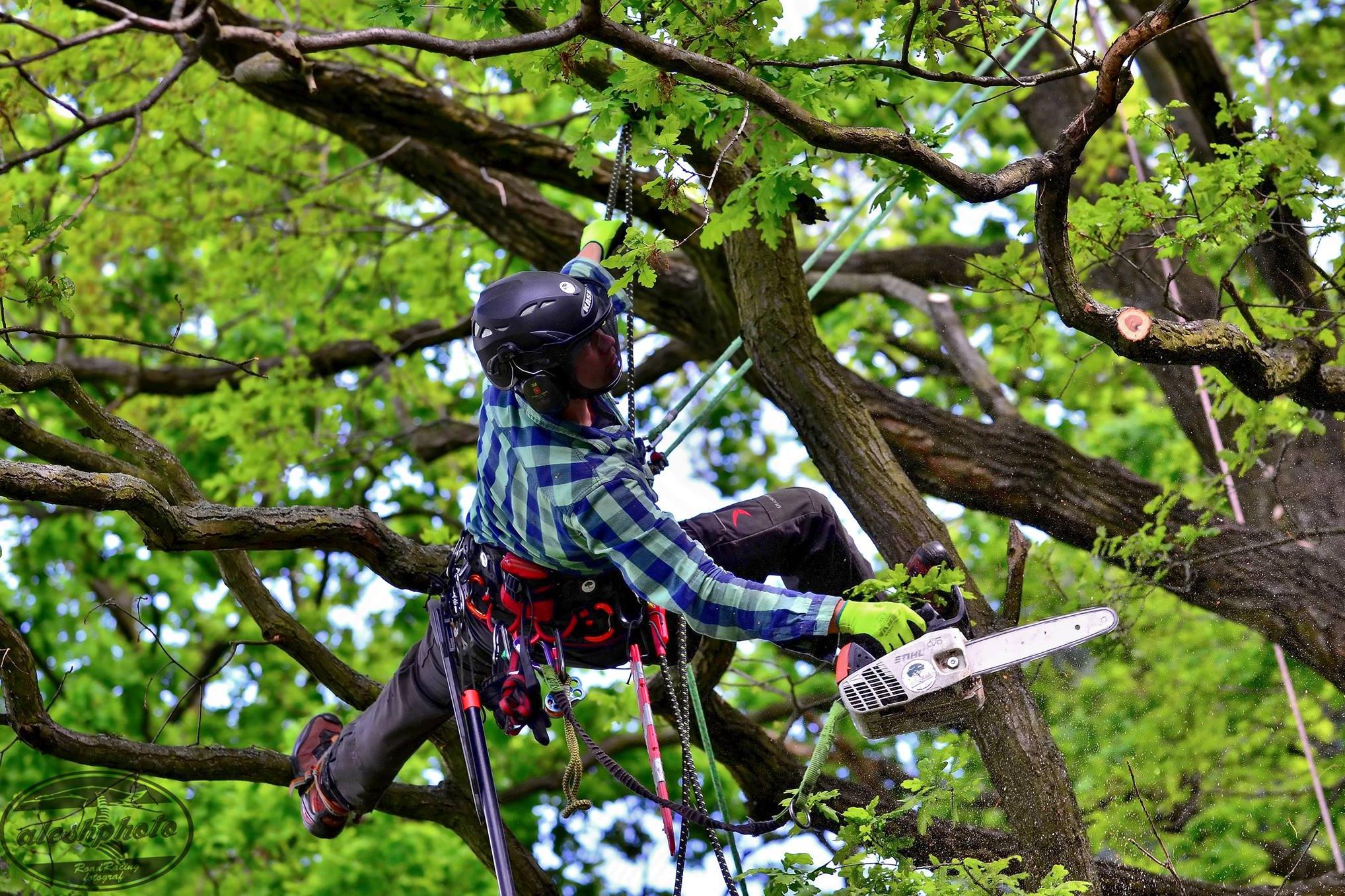 Radim Vojtko - ArboRed