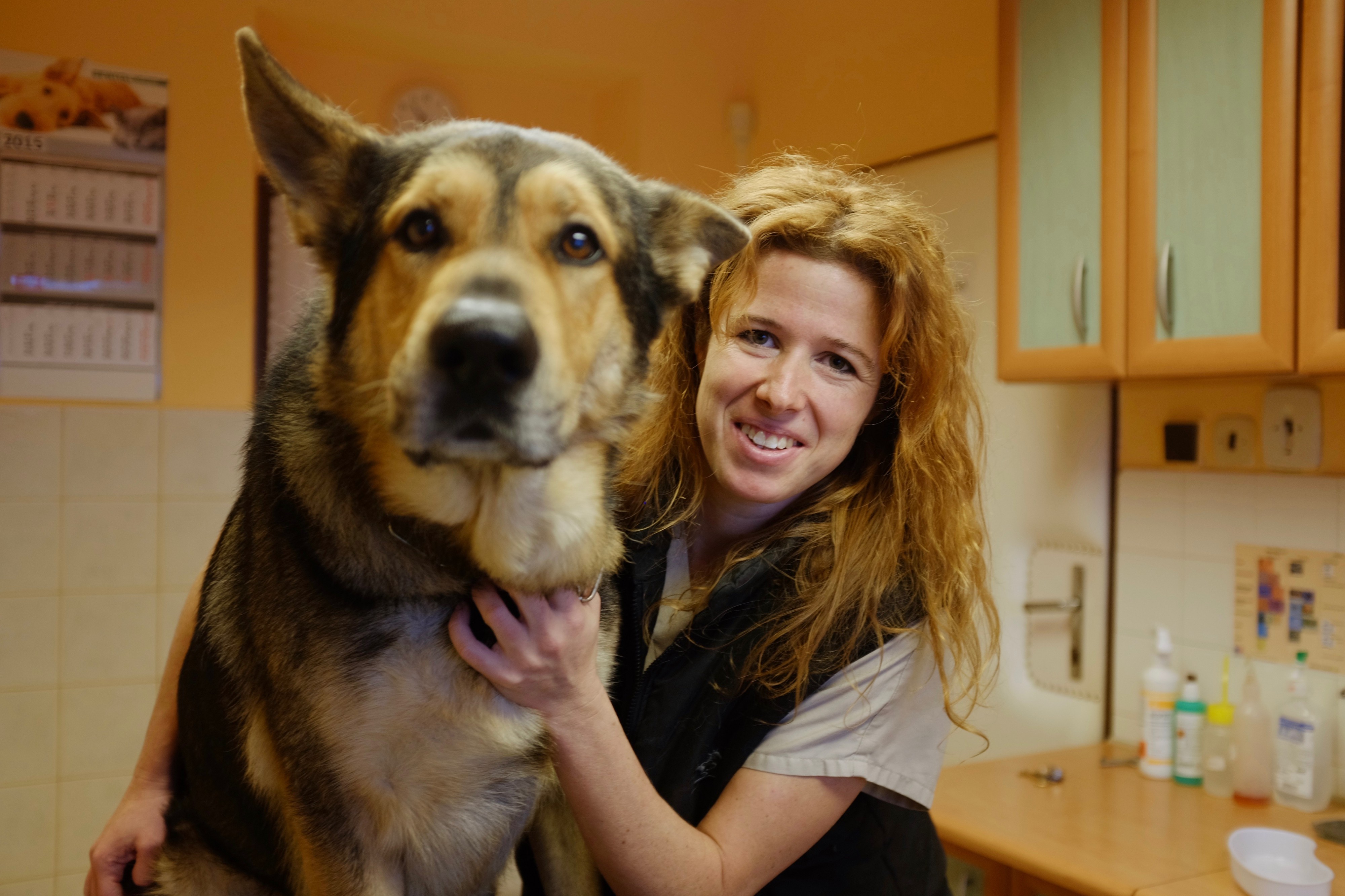 MVDr. Jana Pilgrová - Veterinární ordinace foto 2