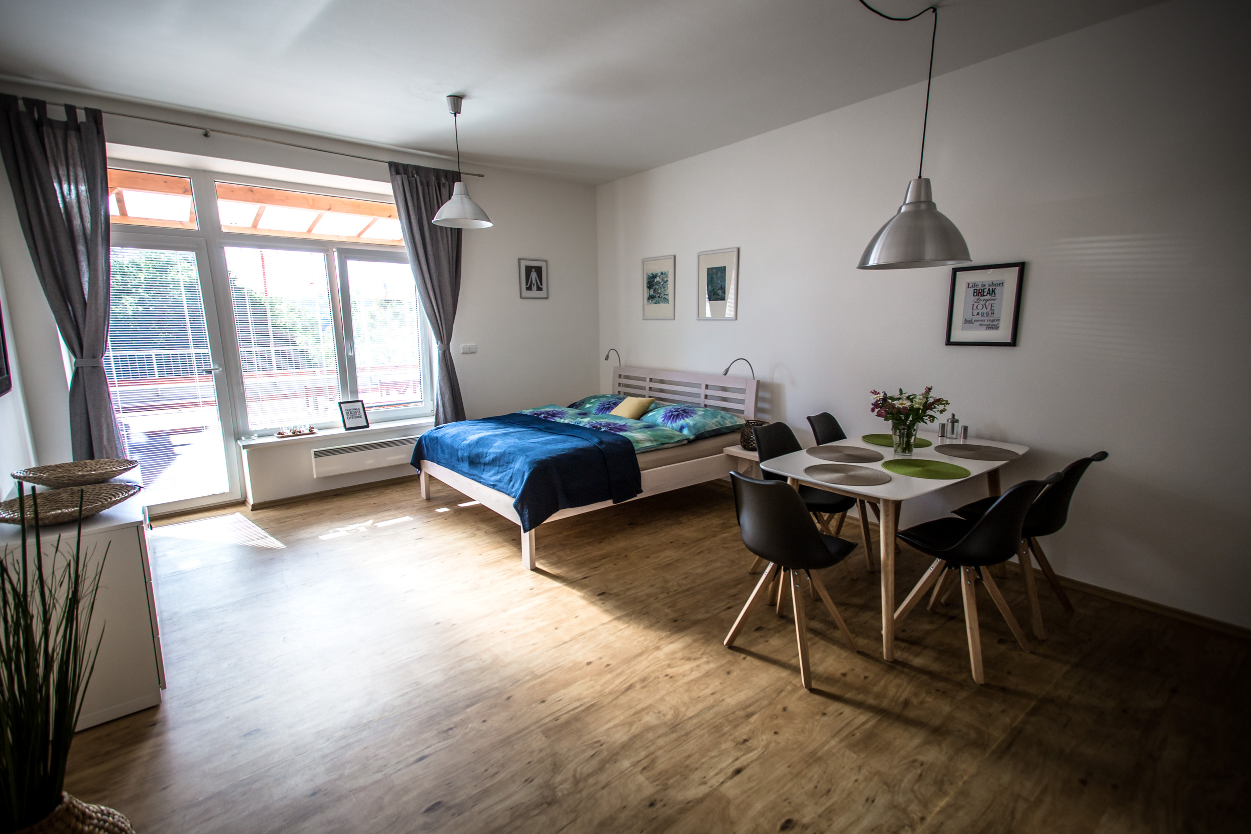 Apartmán Anemos Lipno