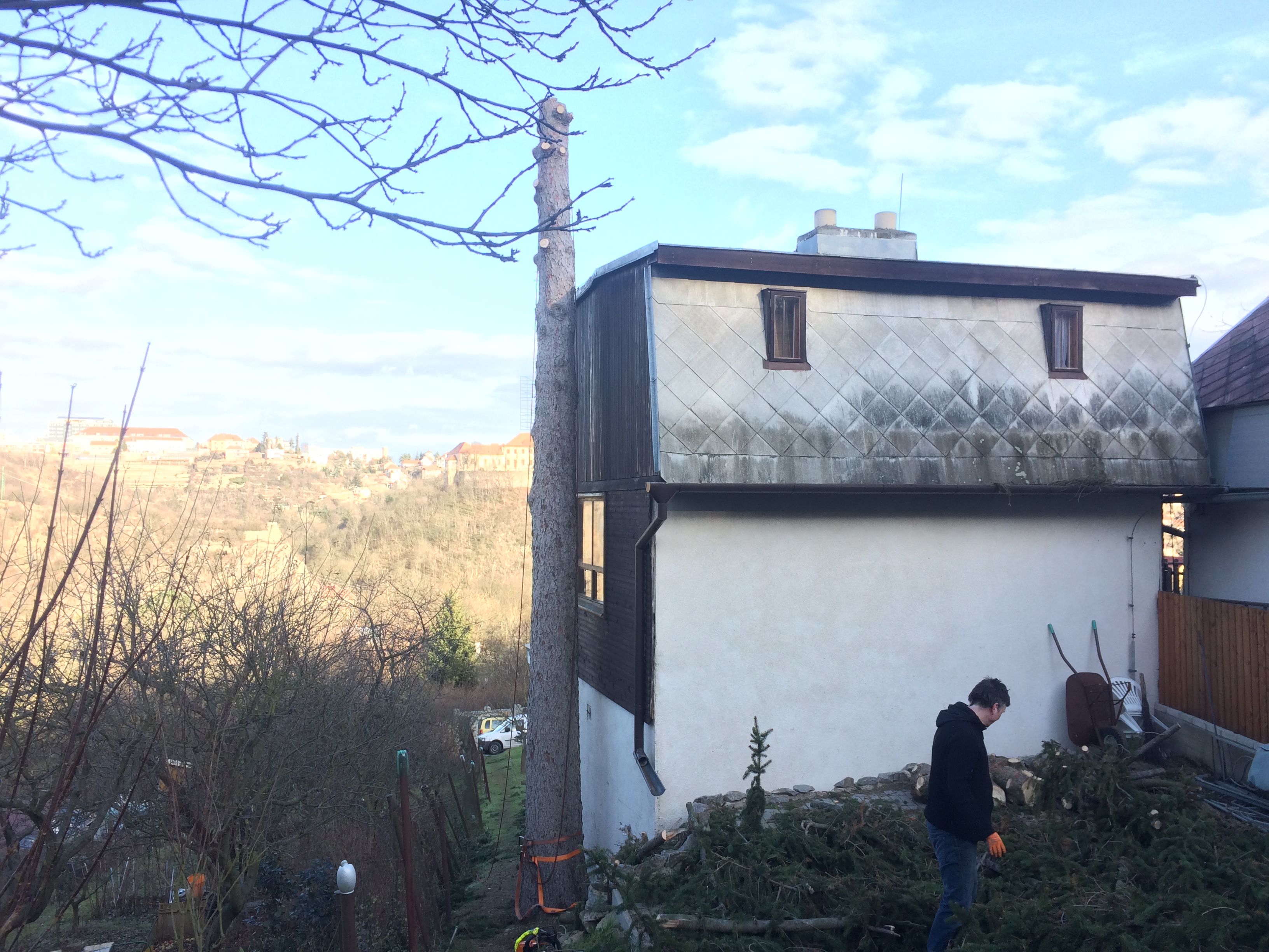 Lanaři.cz - výškové a arboristické práce foto 4