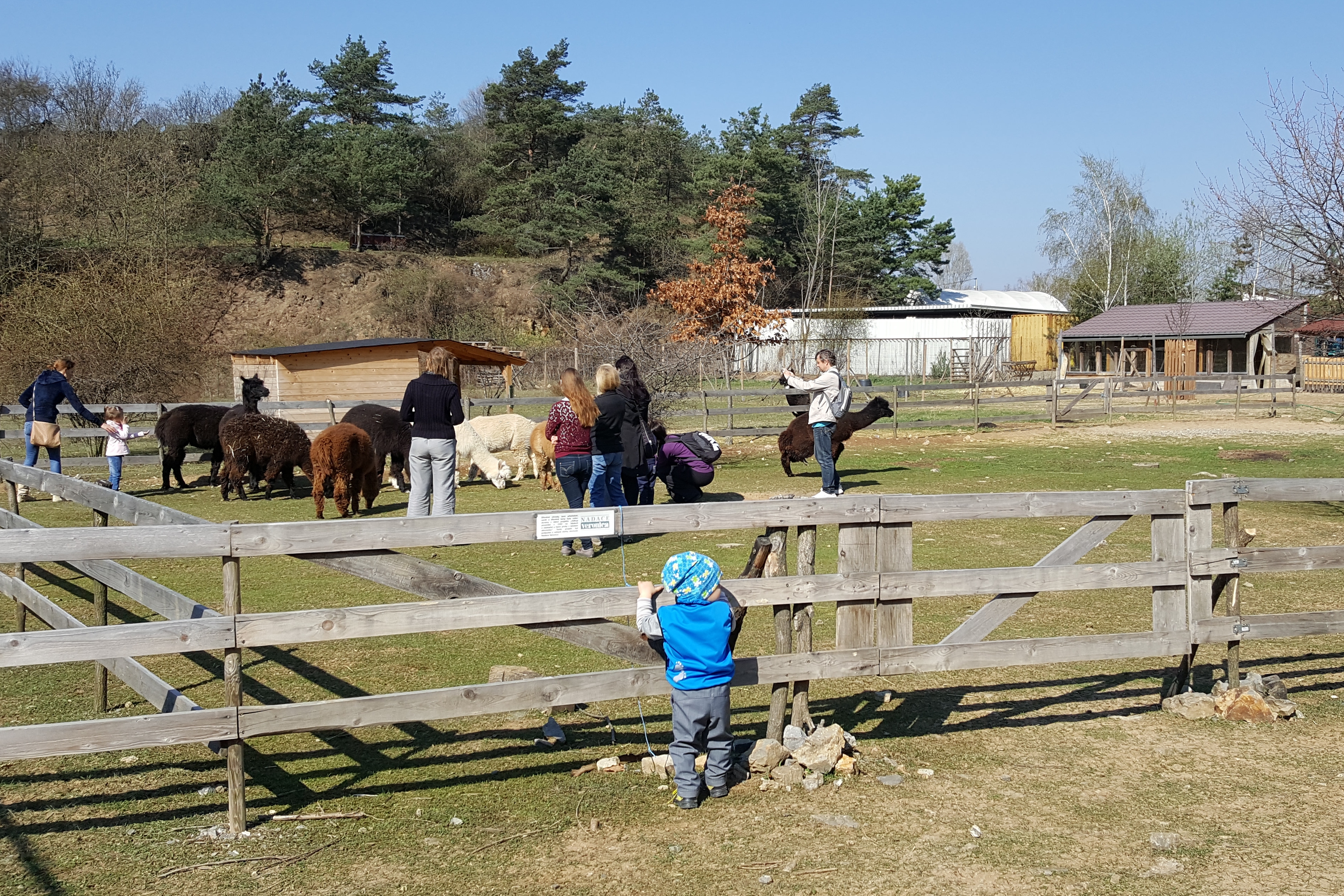 Lamacentrum Hády foto 2