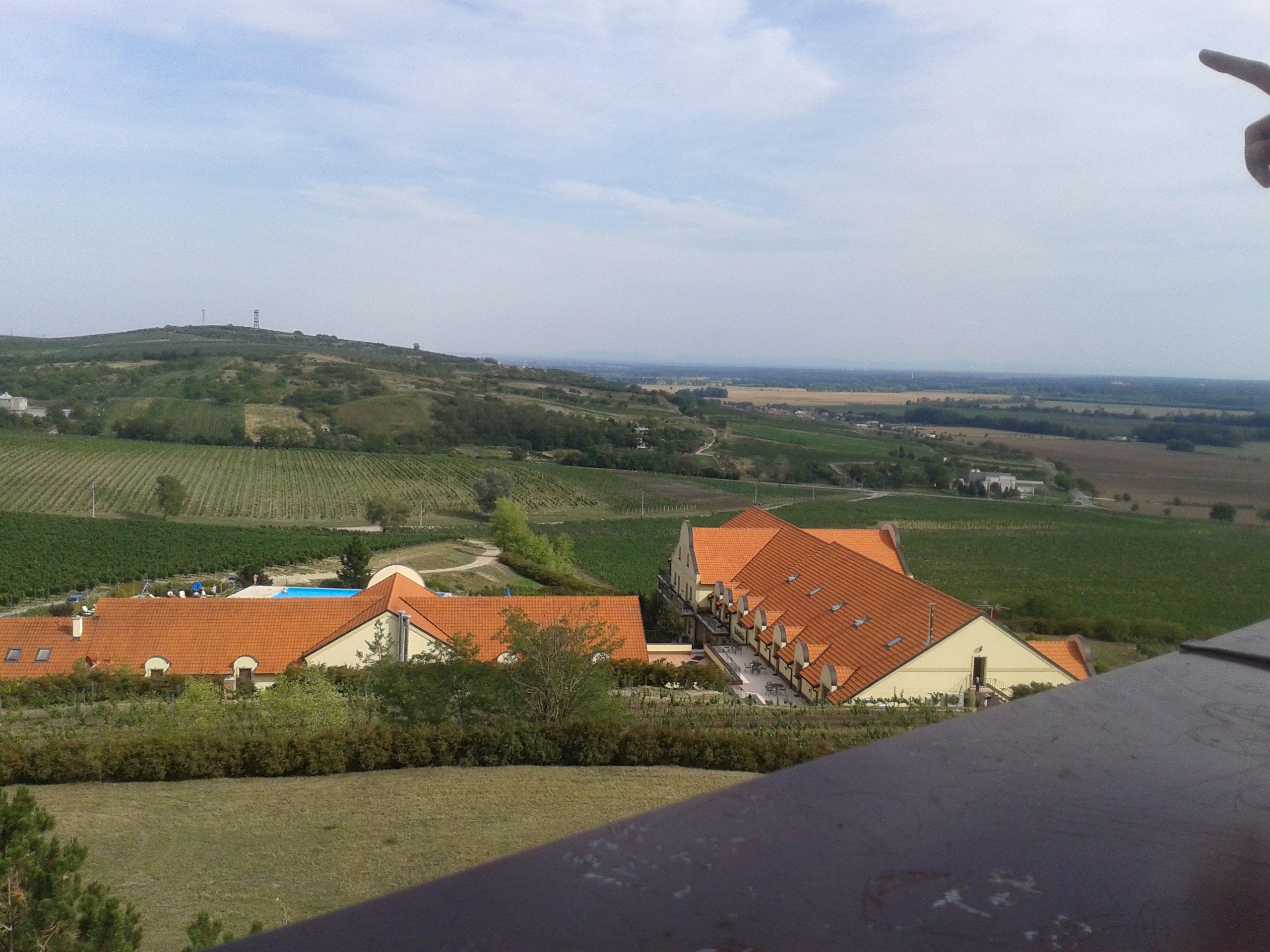 Vinný sklep Vinařství U Kapličky foto 3