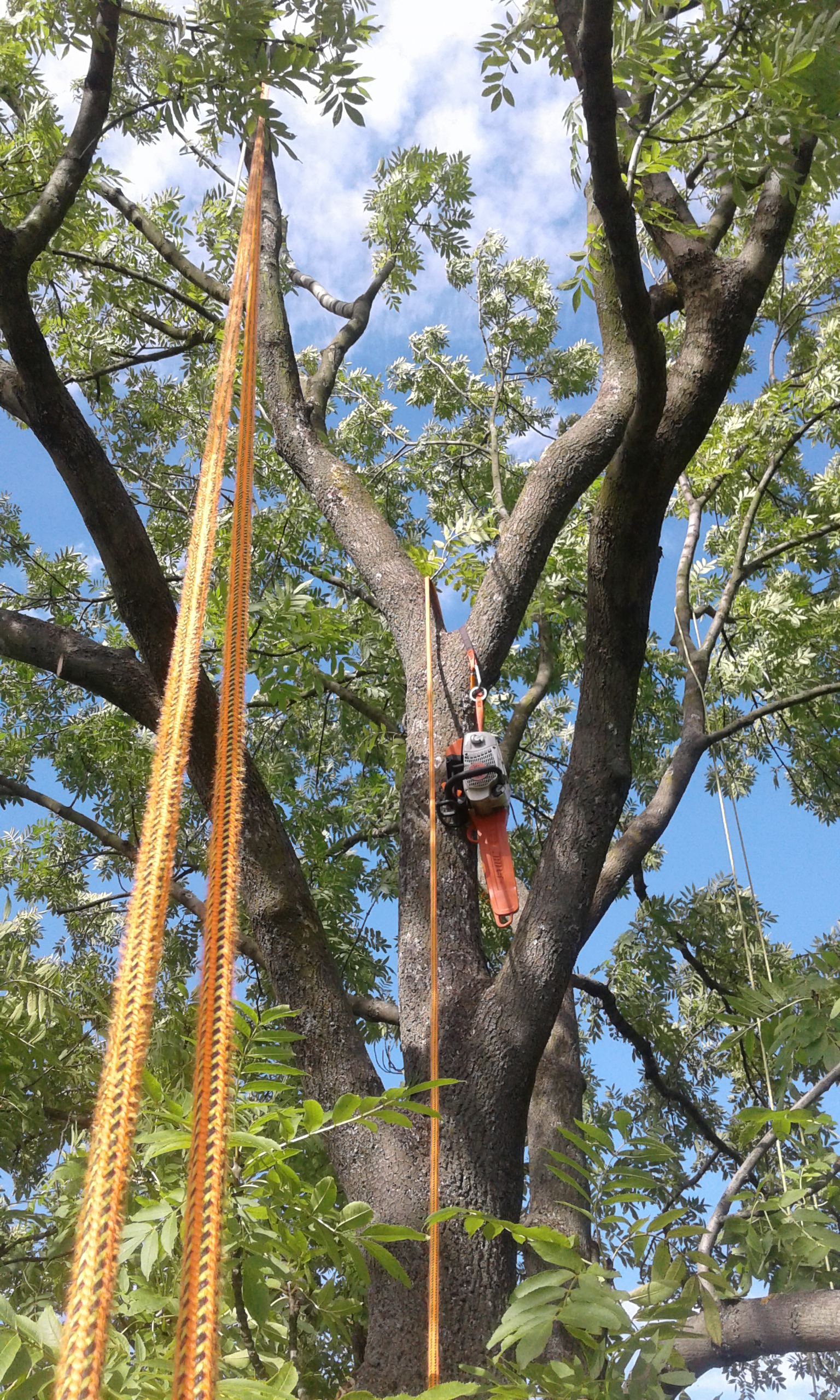 Bc. Jan Bártek foto 3