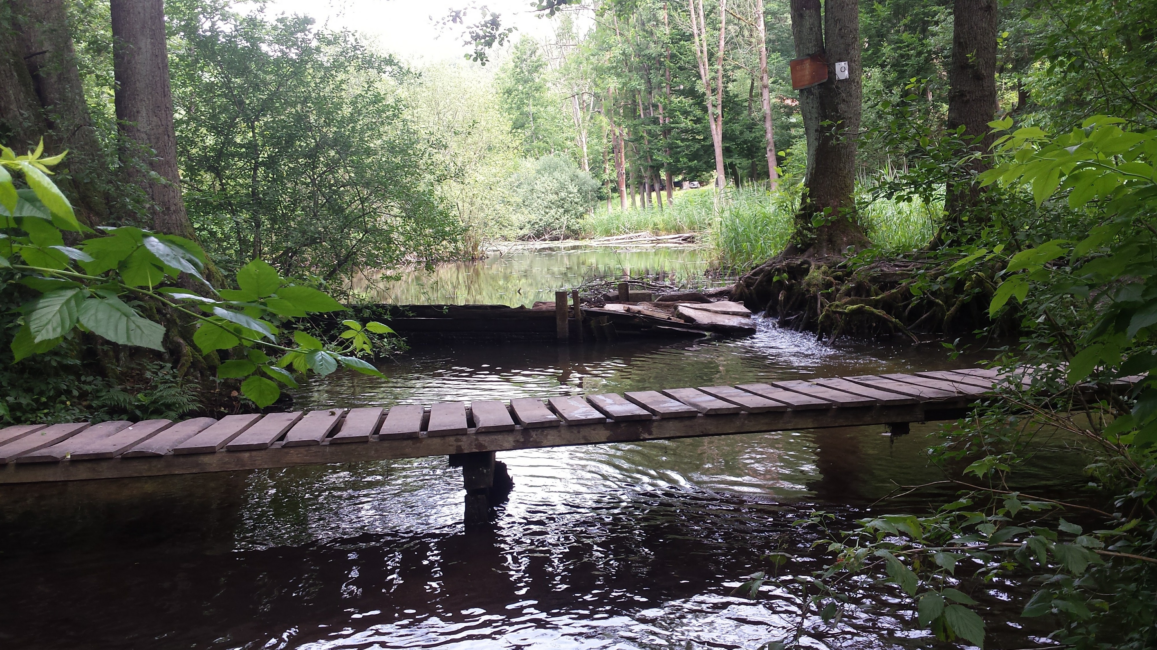 Tábořiště U Splávku foto 4