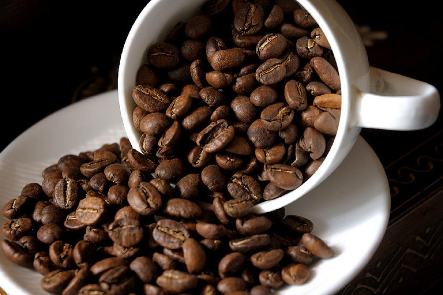 Pražírna Coffee Mondo foto 4