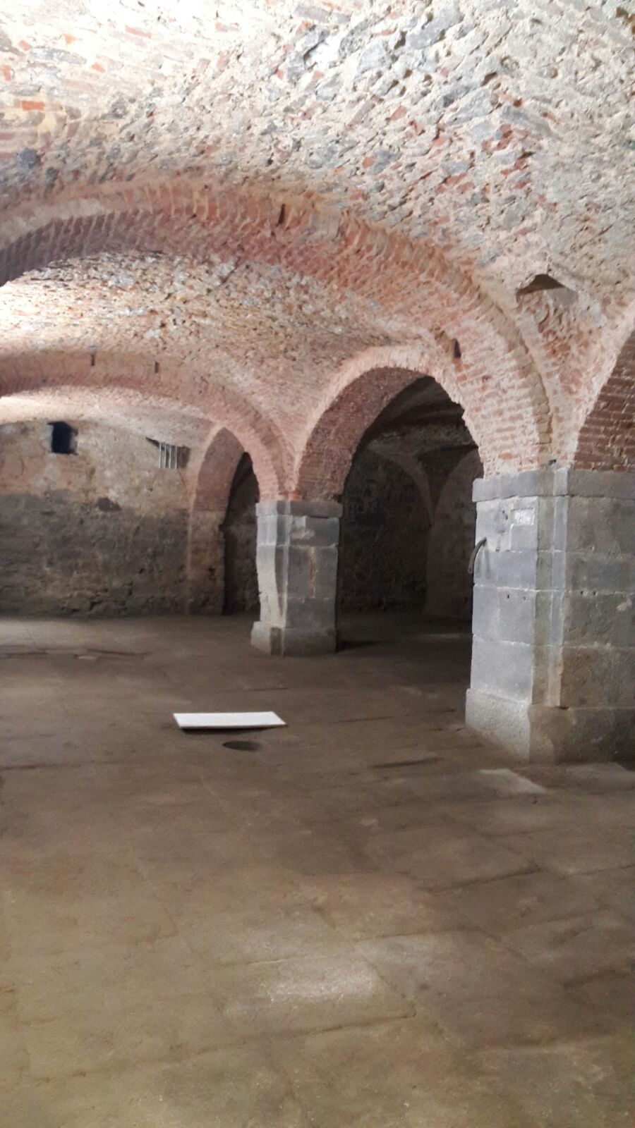 AACPRAGOCEL foto 5