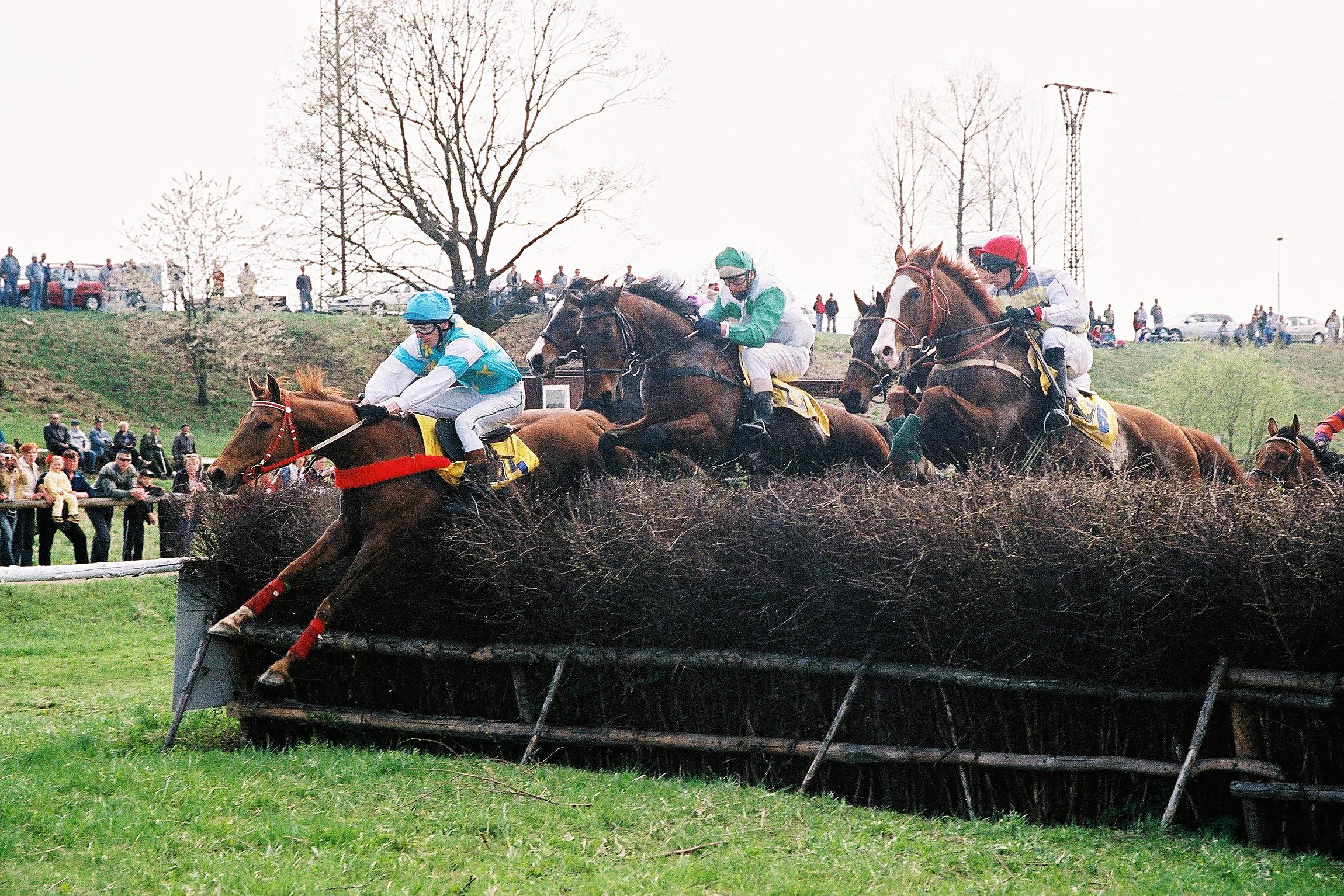 Dostihové závodiště Radslavice