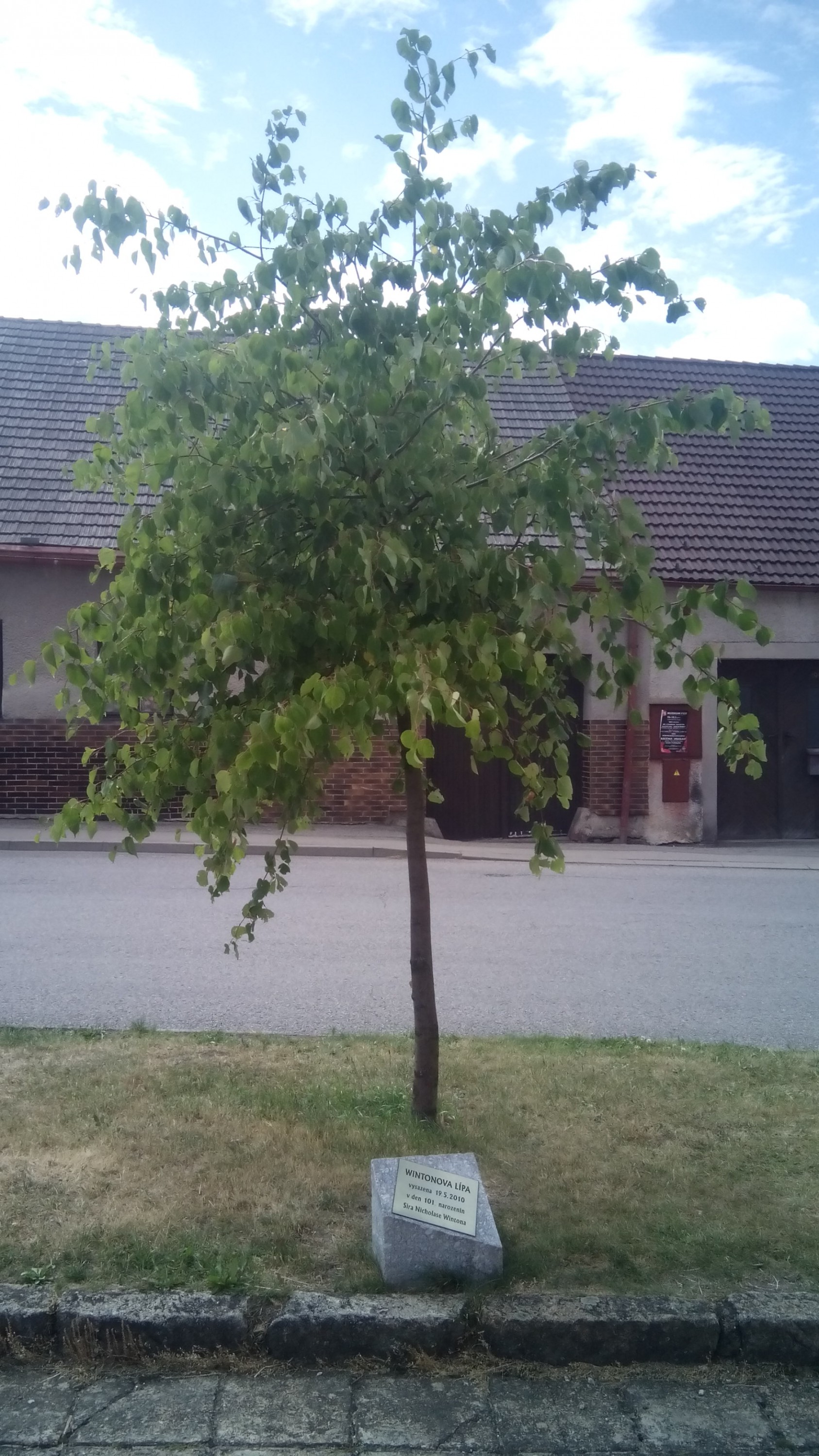 Základní škola Sira Nicholase Wintona Kunžak foto 4