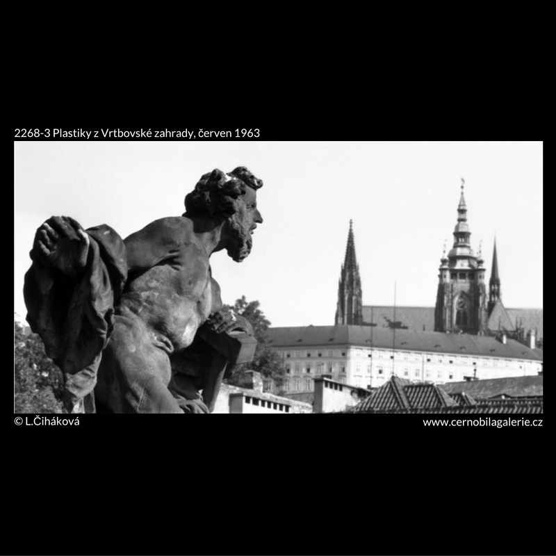 Černobílá galerie foto 5