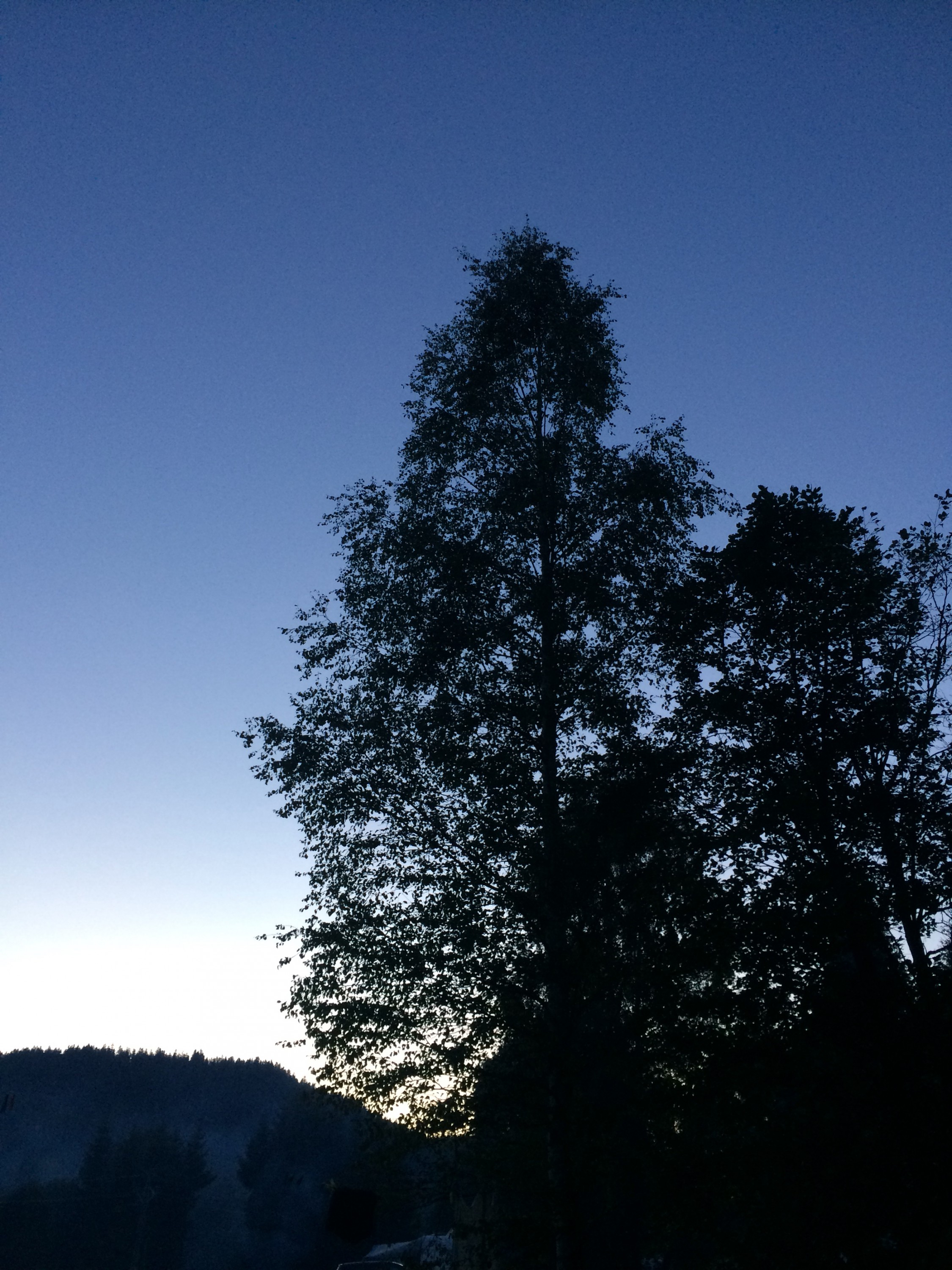 Veřejné tábořiště Zahrádky foto 3