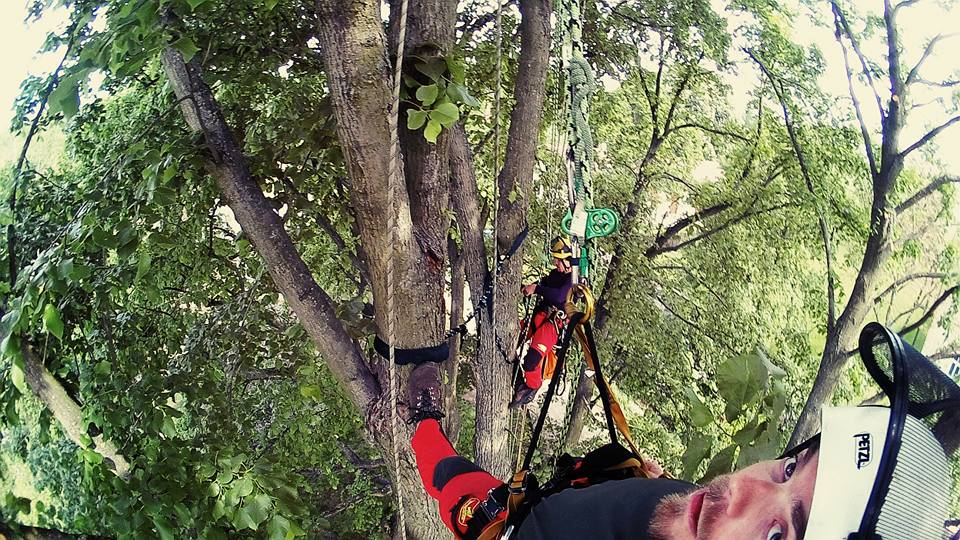 Rizikové kácení - Michal Ženíšek foto 4