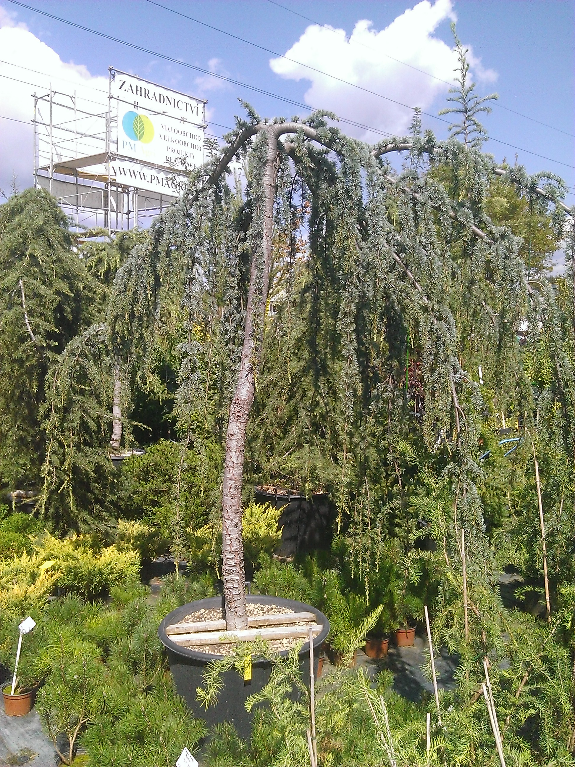 PM Agri s.r.o. foto 3