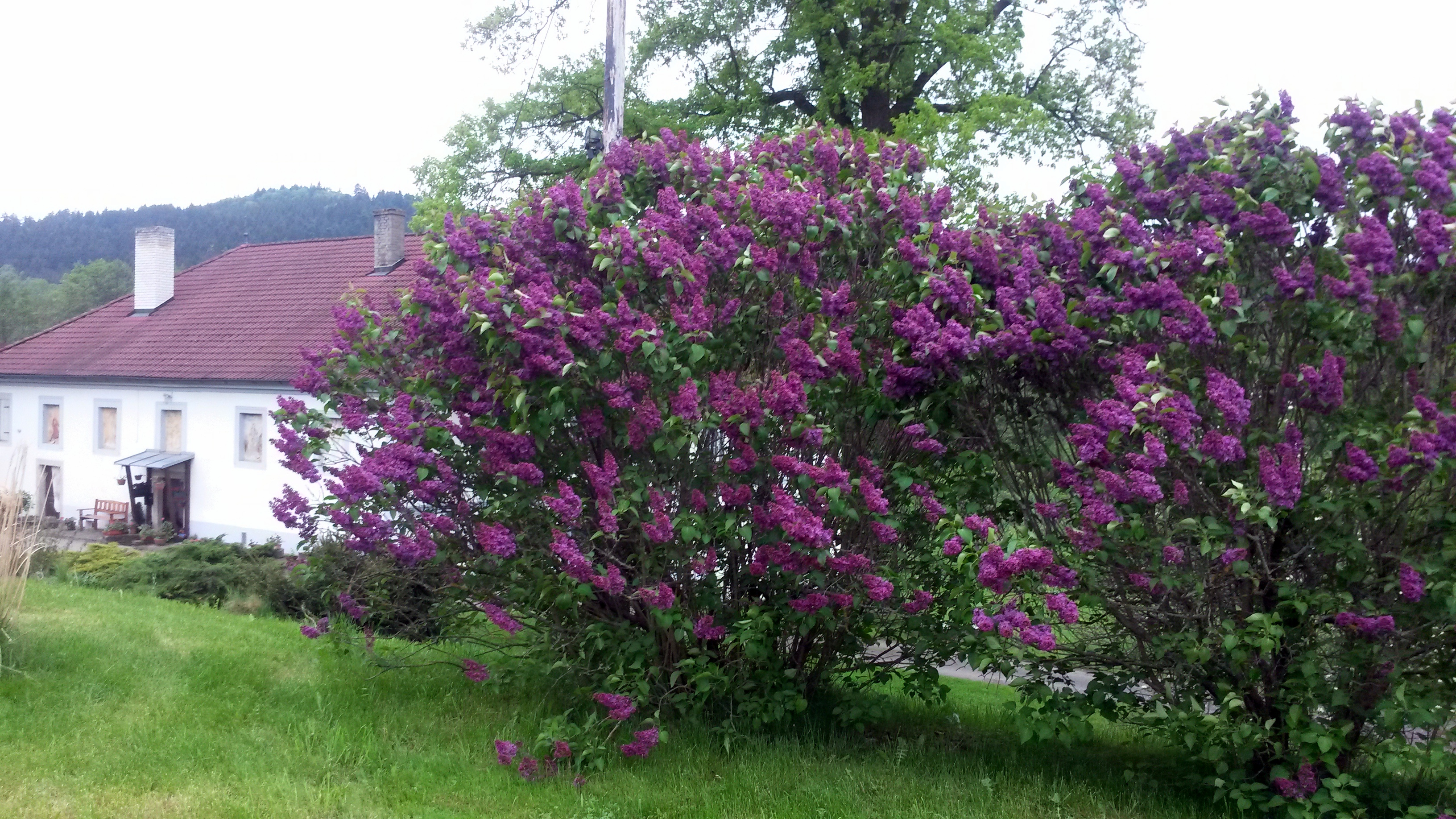 Ubytování ve Mlýně foto 4