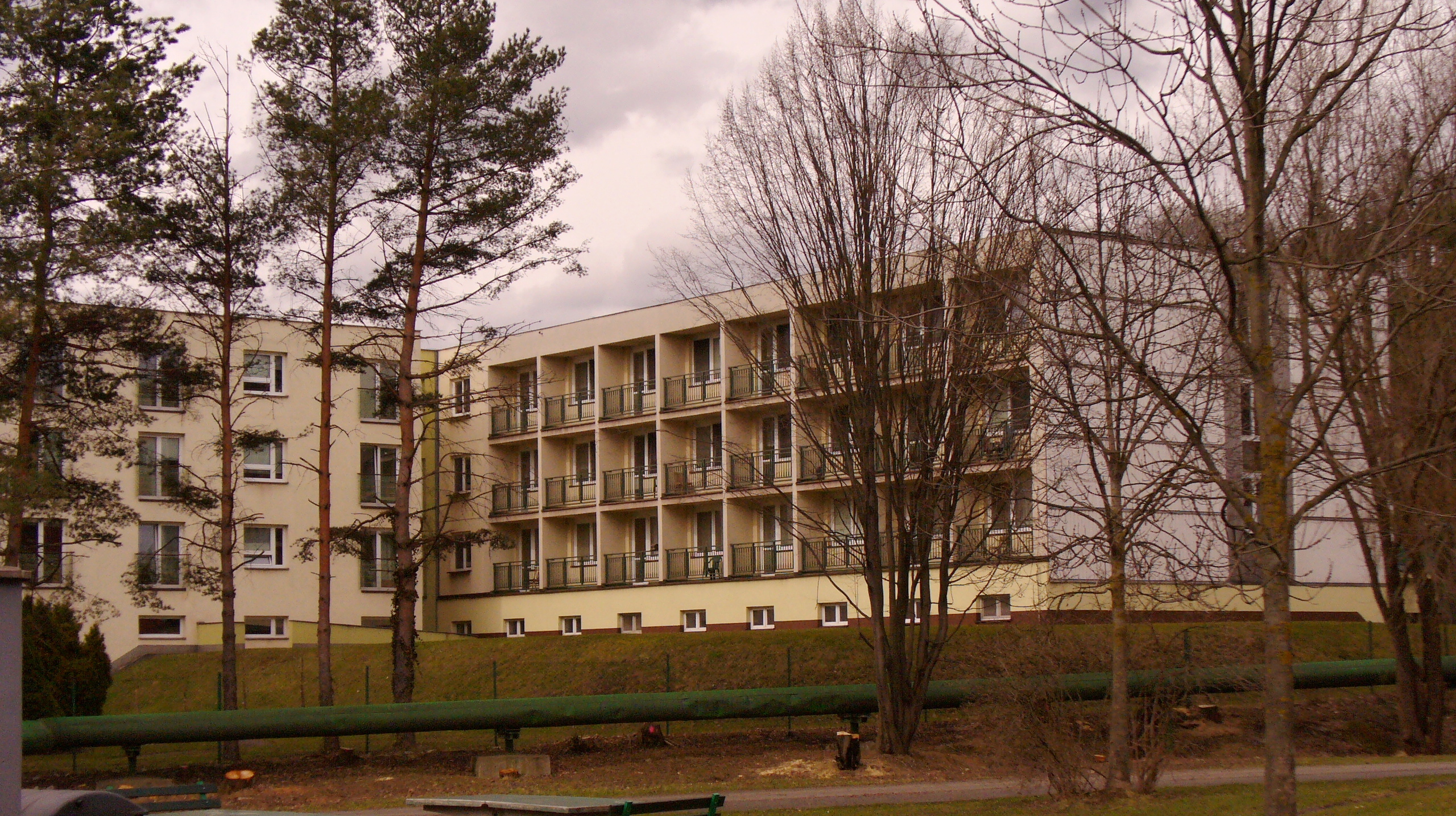 Domov Sosna foto 1