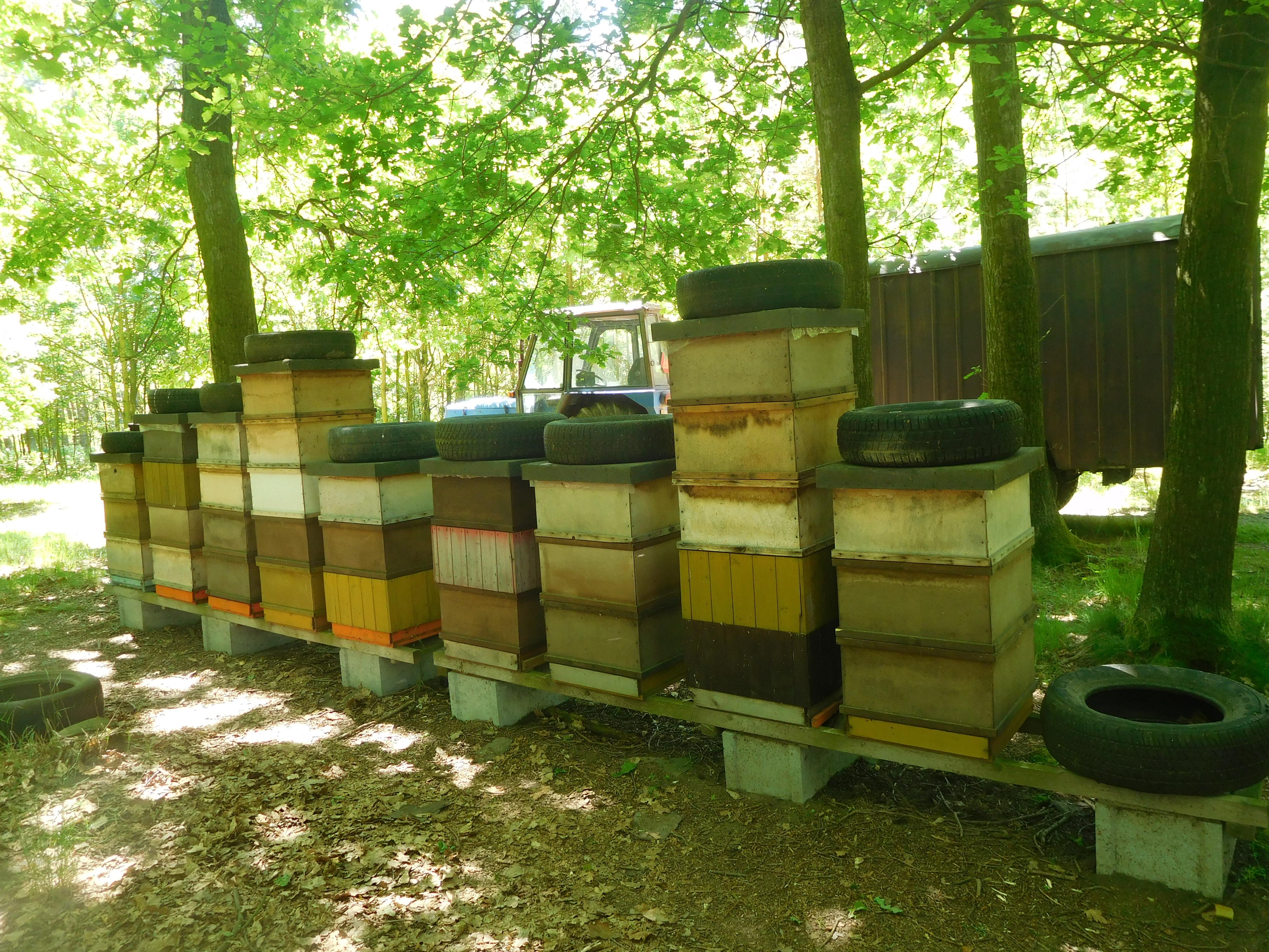 Jaroslav Lavička foto 2