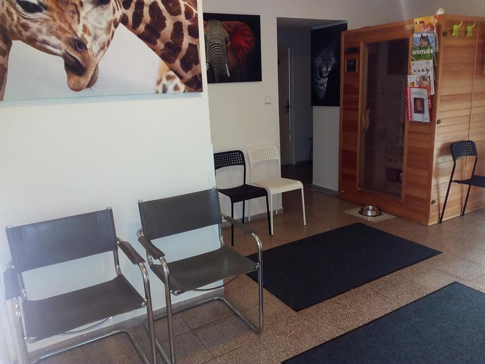 MVDr. Tereza Lázničková (Sophová), TerVet.cz foto 4