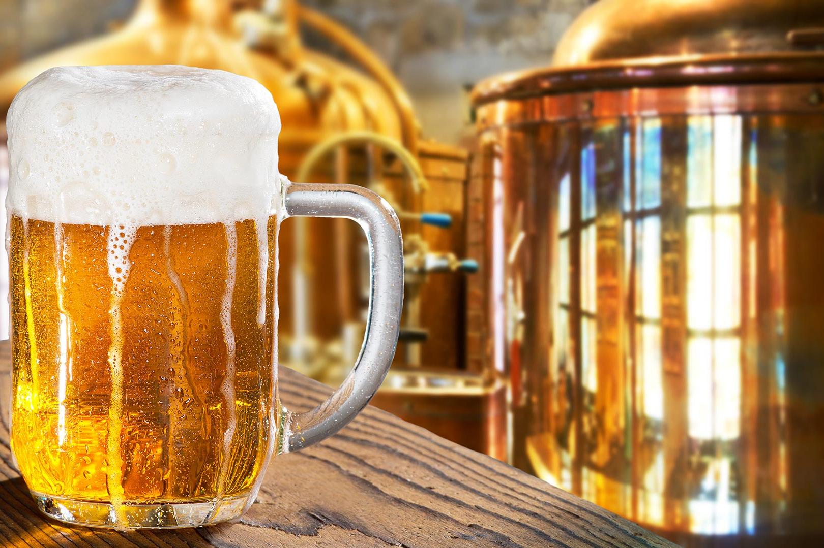 Pivovaři, s.r.o. foto 1