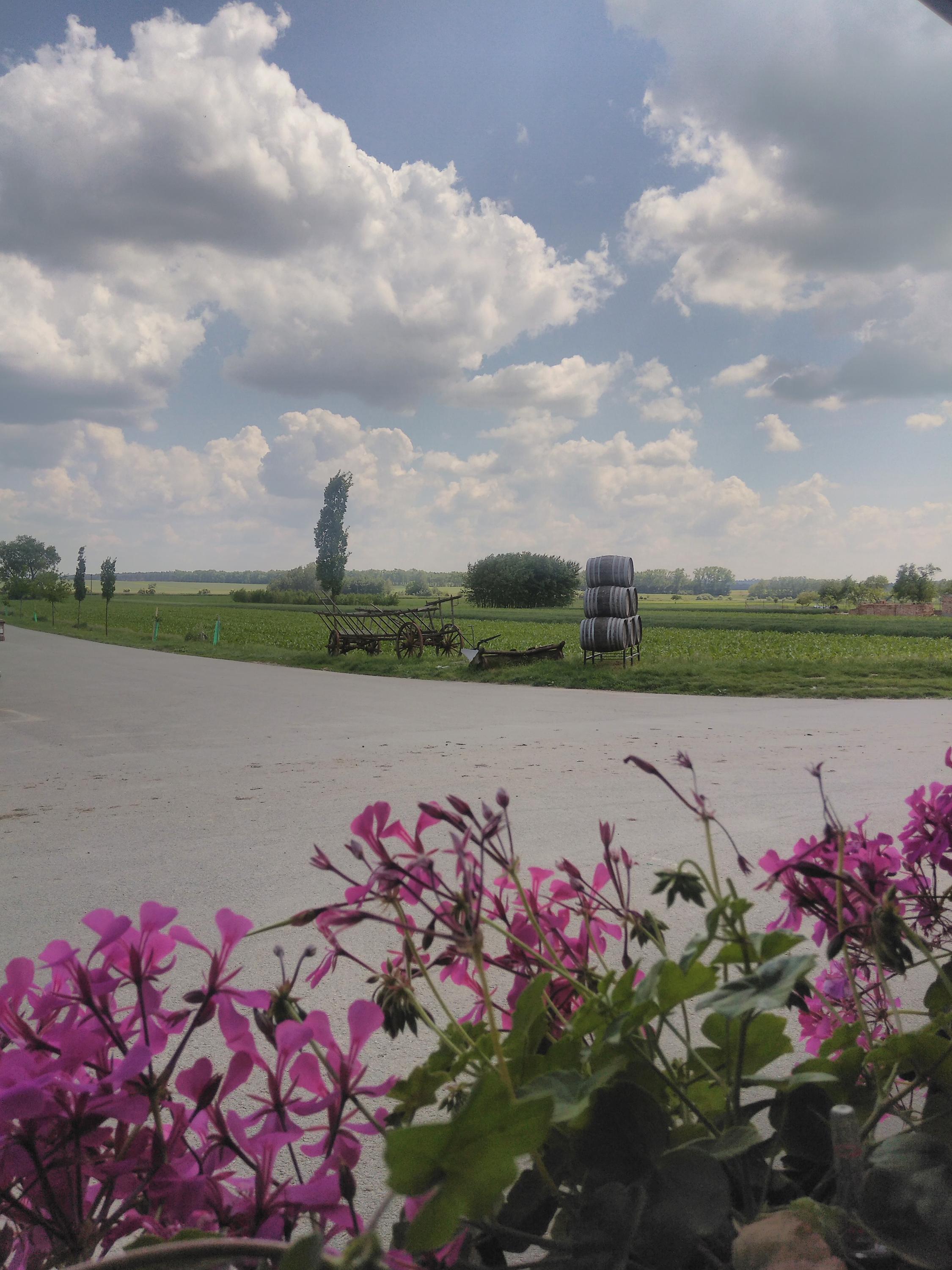 Vinařství DUFEK foto 6