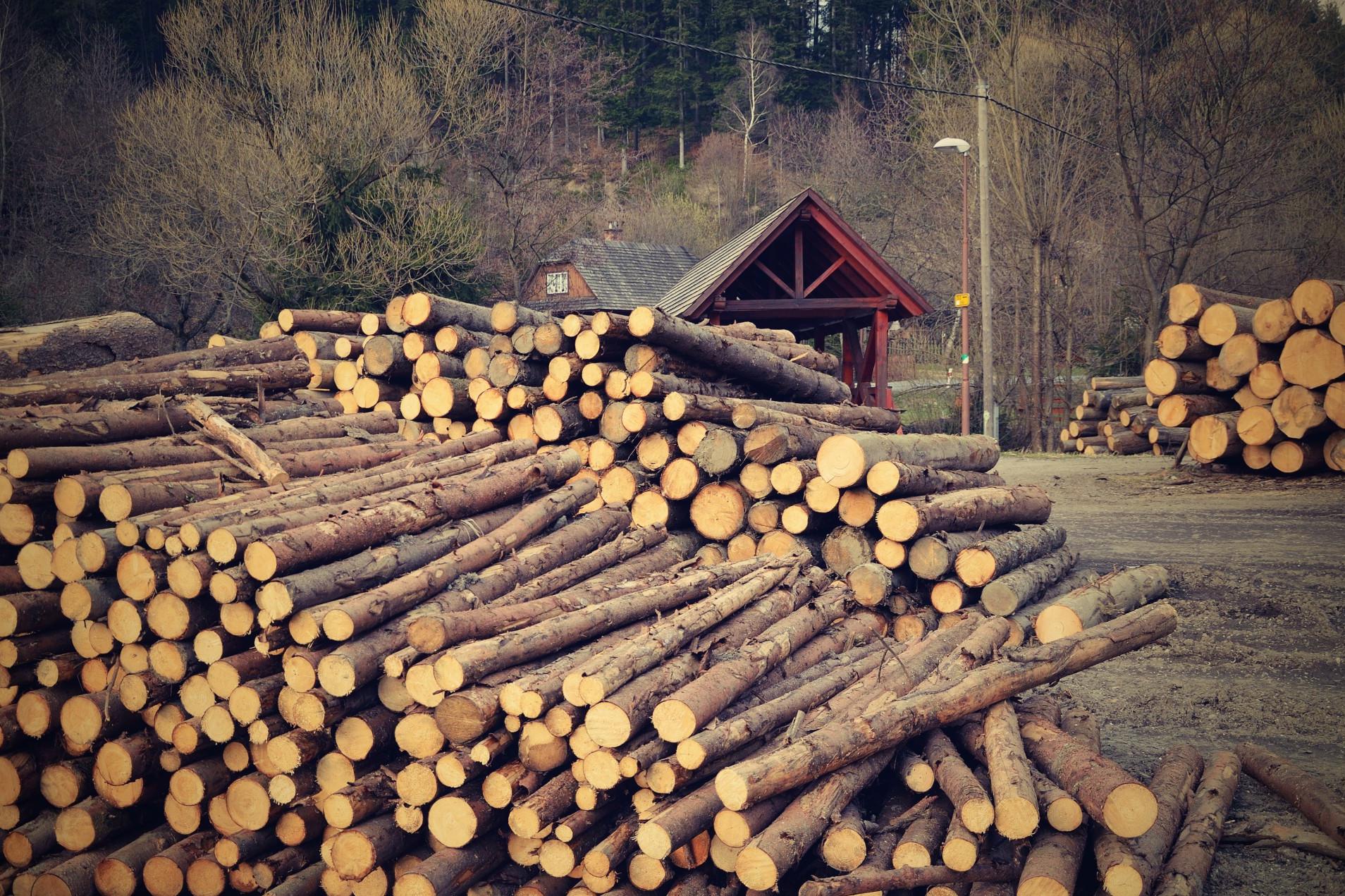 JAKEŠ WOOD s.r.o. foto 1