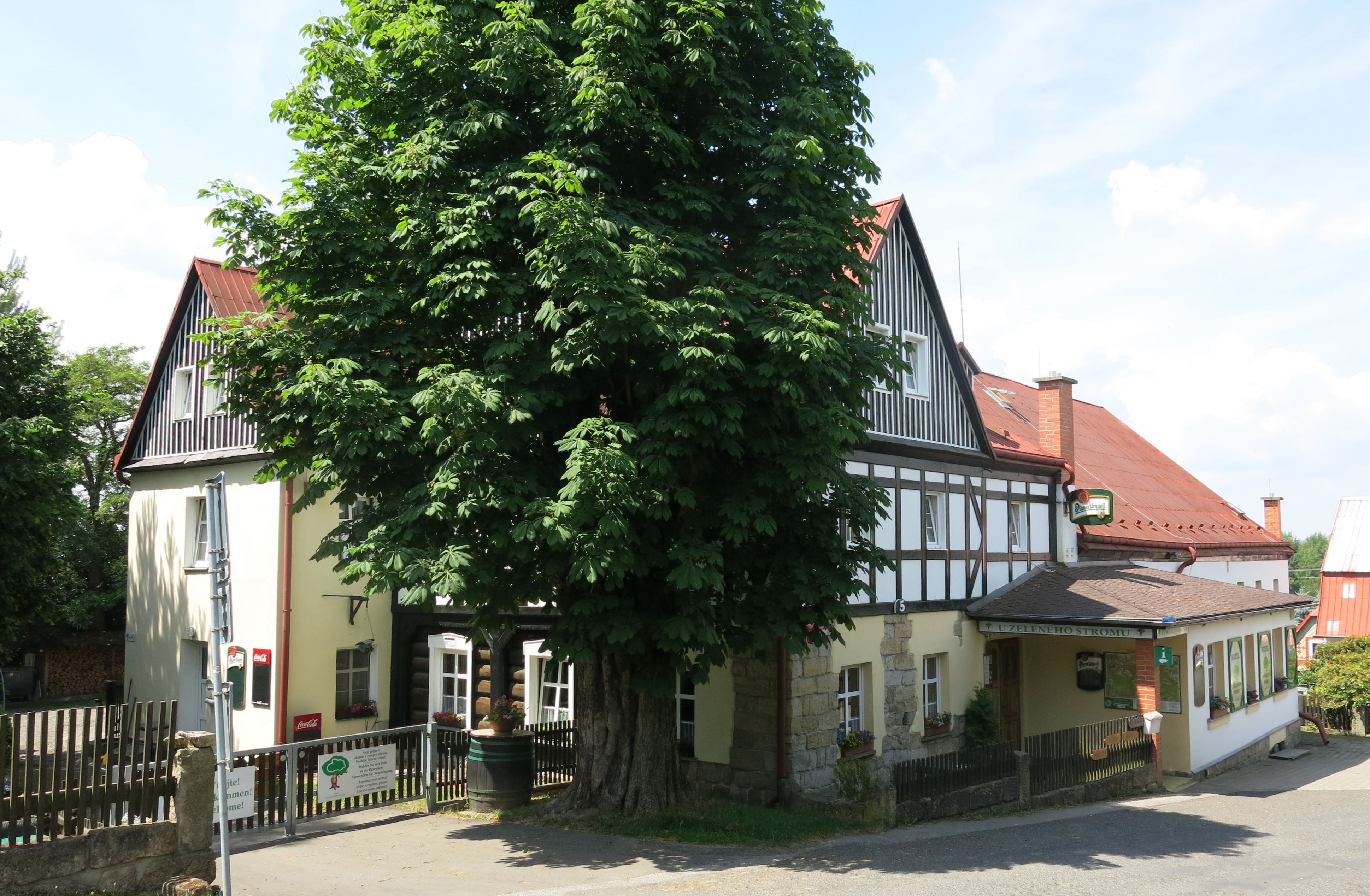 Hotel U Zeleného stromu v Janově nad Hřenskem foto 2
