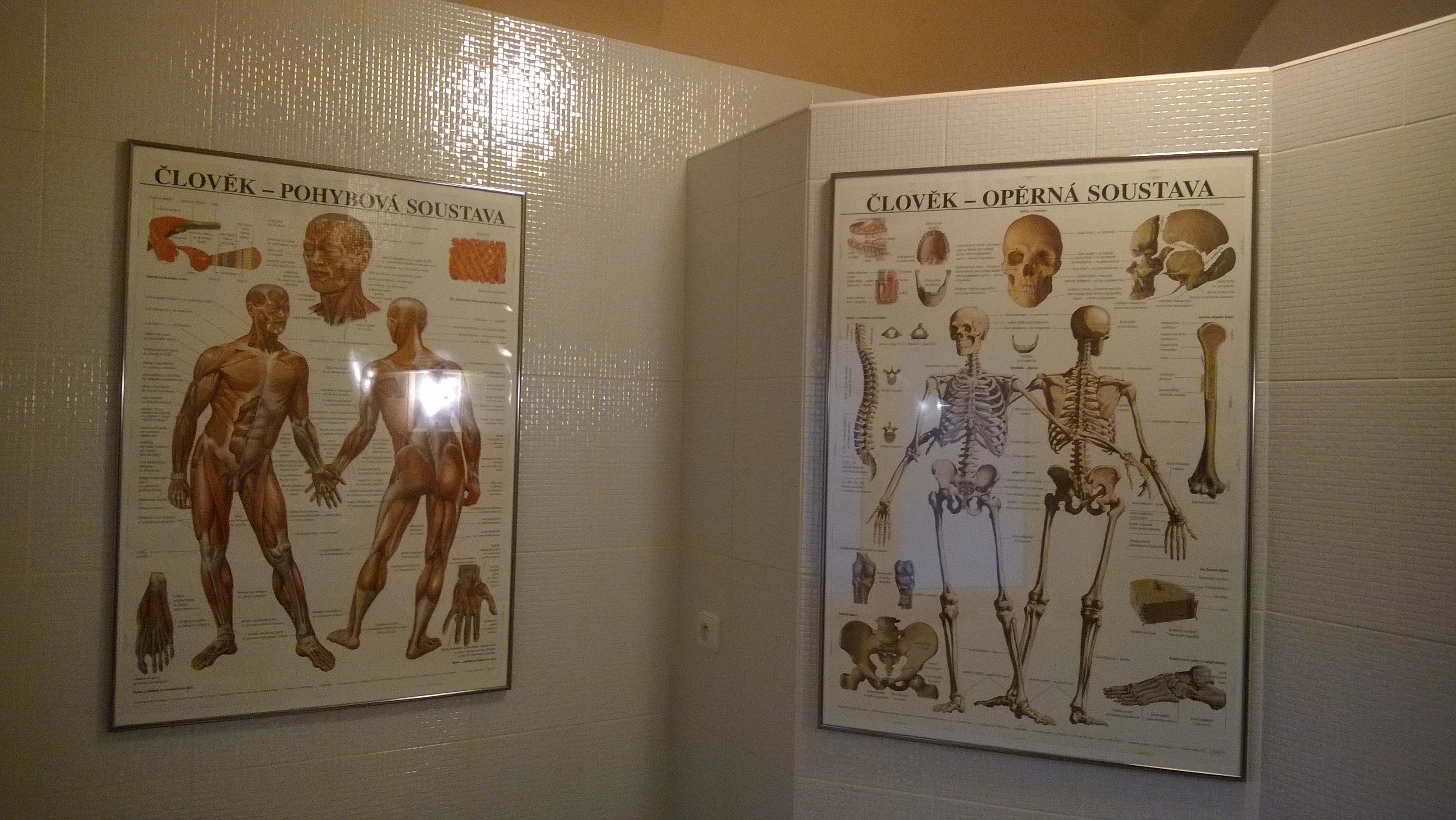 Zuzana Pavlíková - masáže foto 2