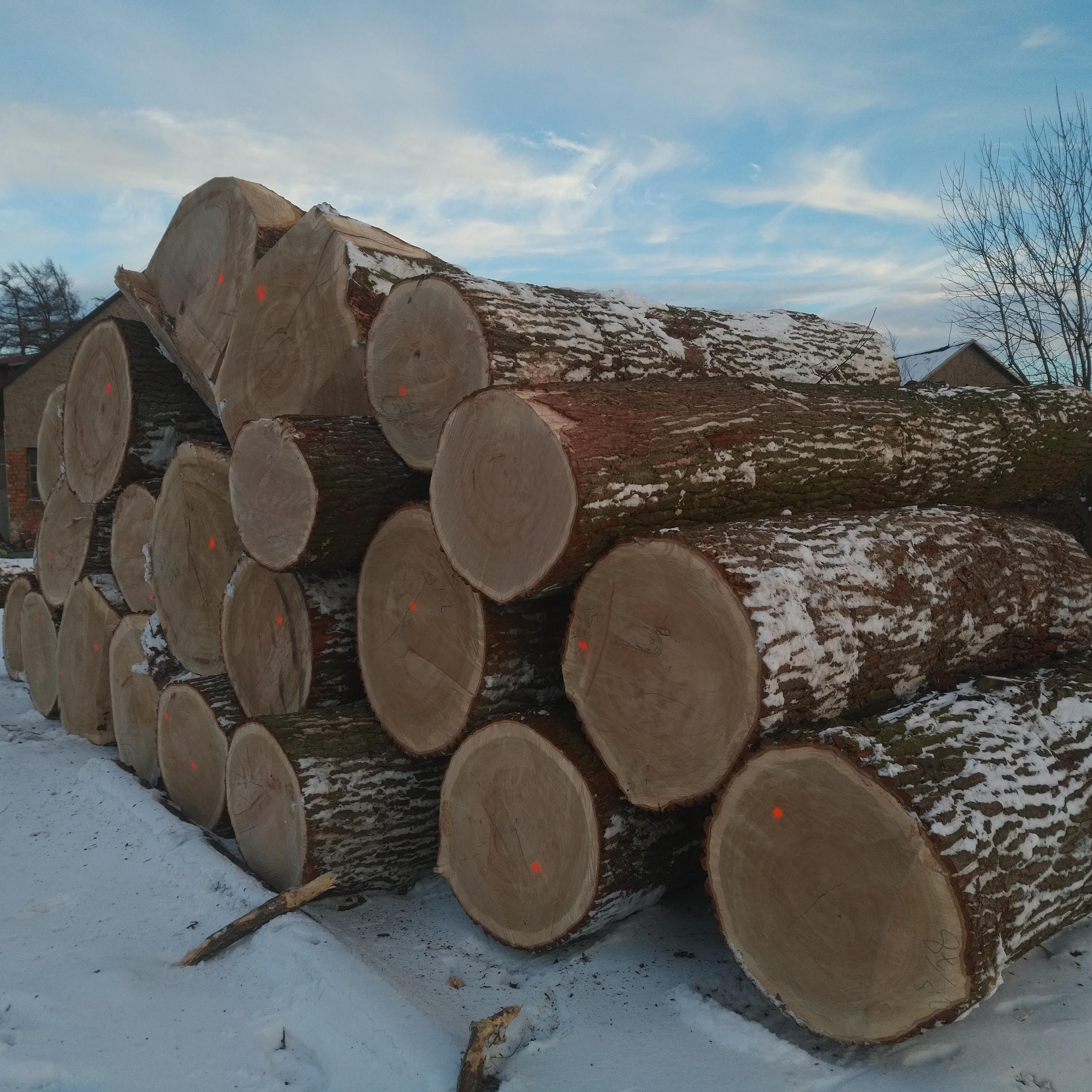 PORT WOOD, s.r.o. foto 4