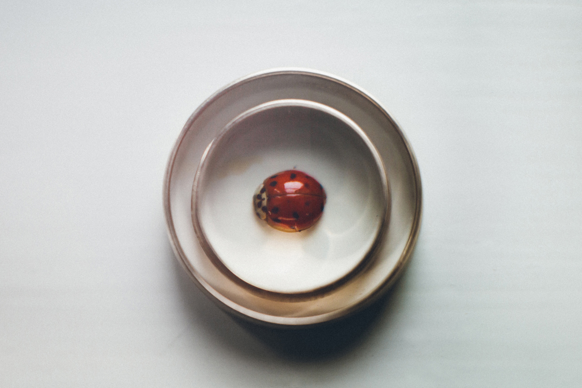 Svatebni fotograf Viktor Lom foto 2