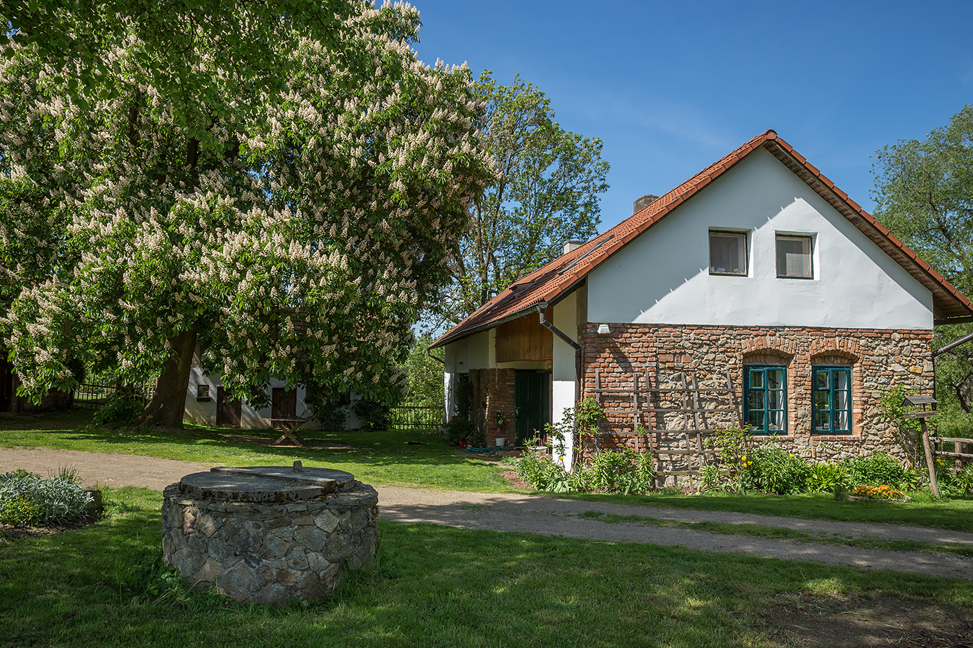 Jak voní tymián s.r.o.