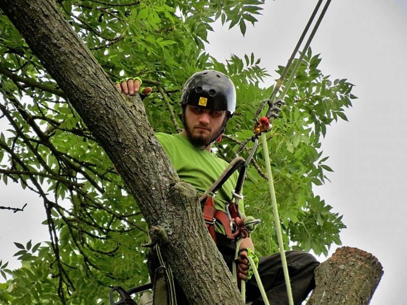 Václav Vlasák foto 2