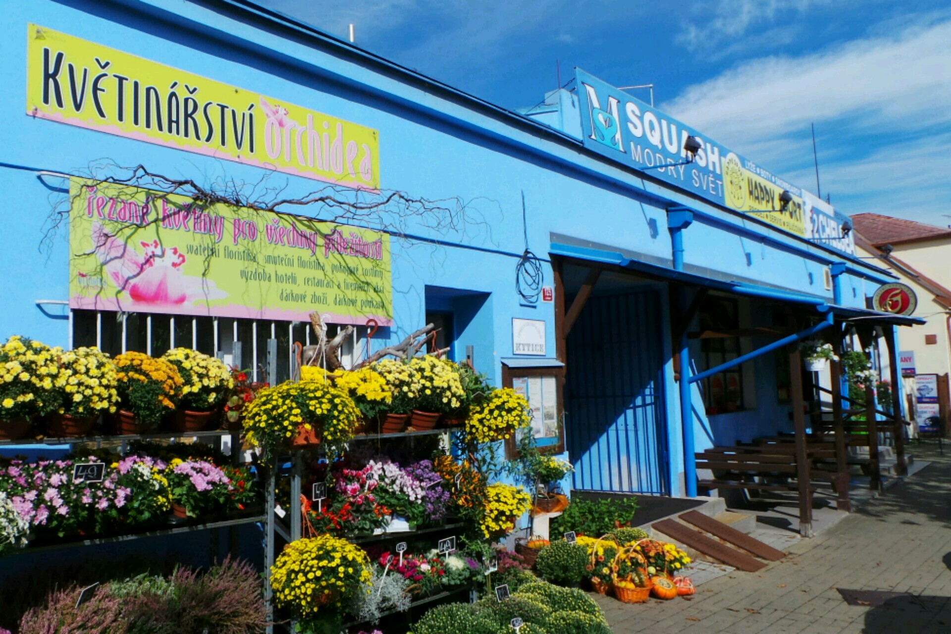 Squash Modrý svět - posilovna foto 1