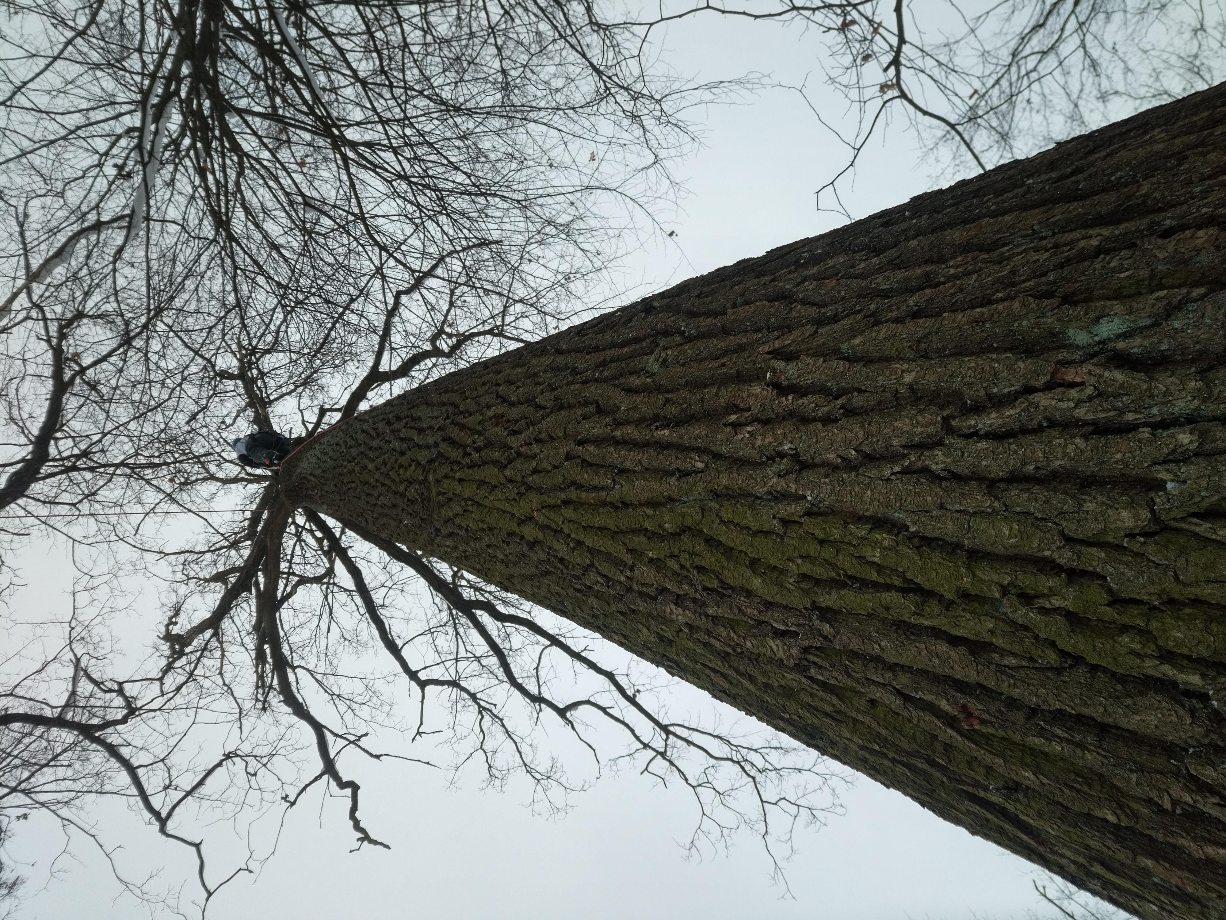PORT WOOD, s.r.o. foto 4