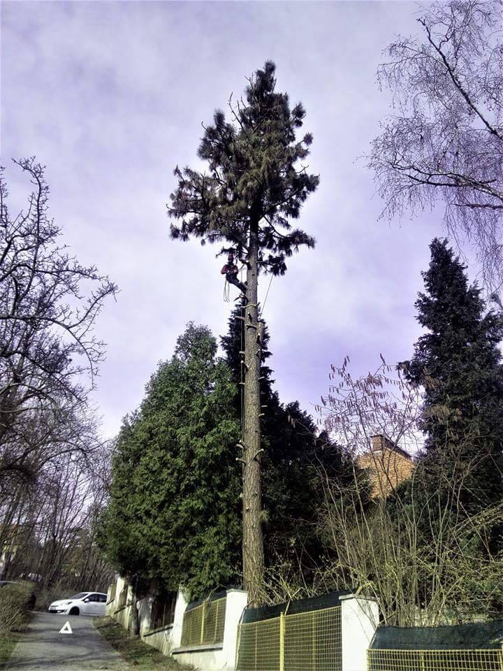 Mário Hamarčák foto 2