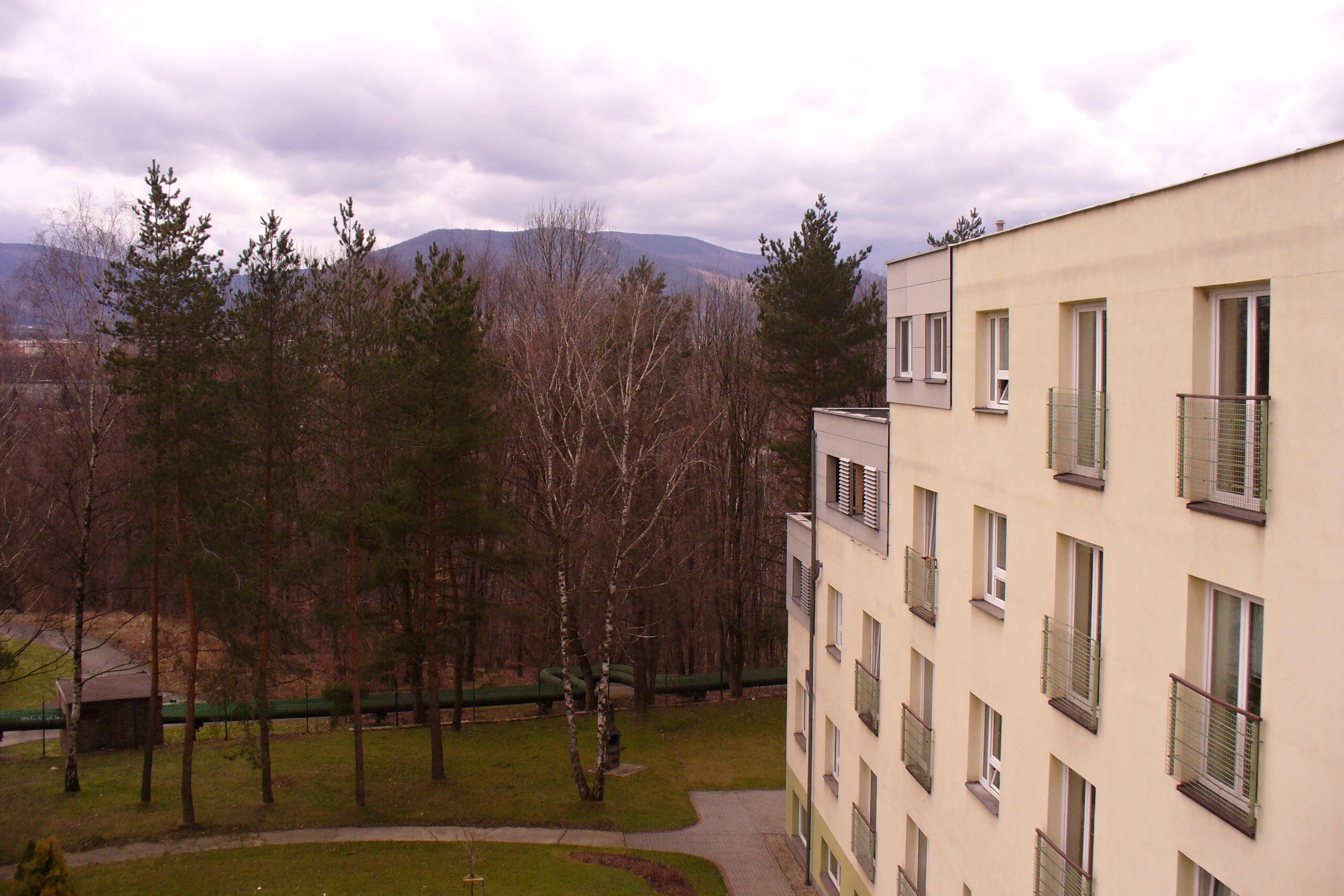 Domov Sosna foto 3