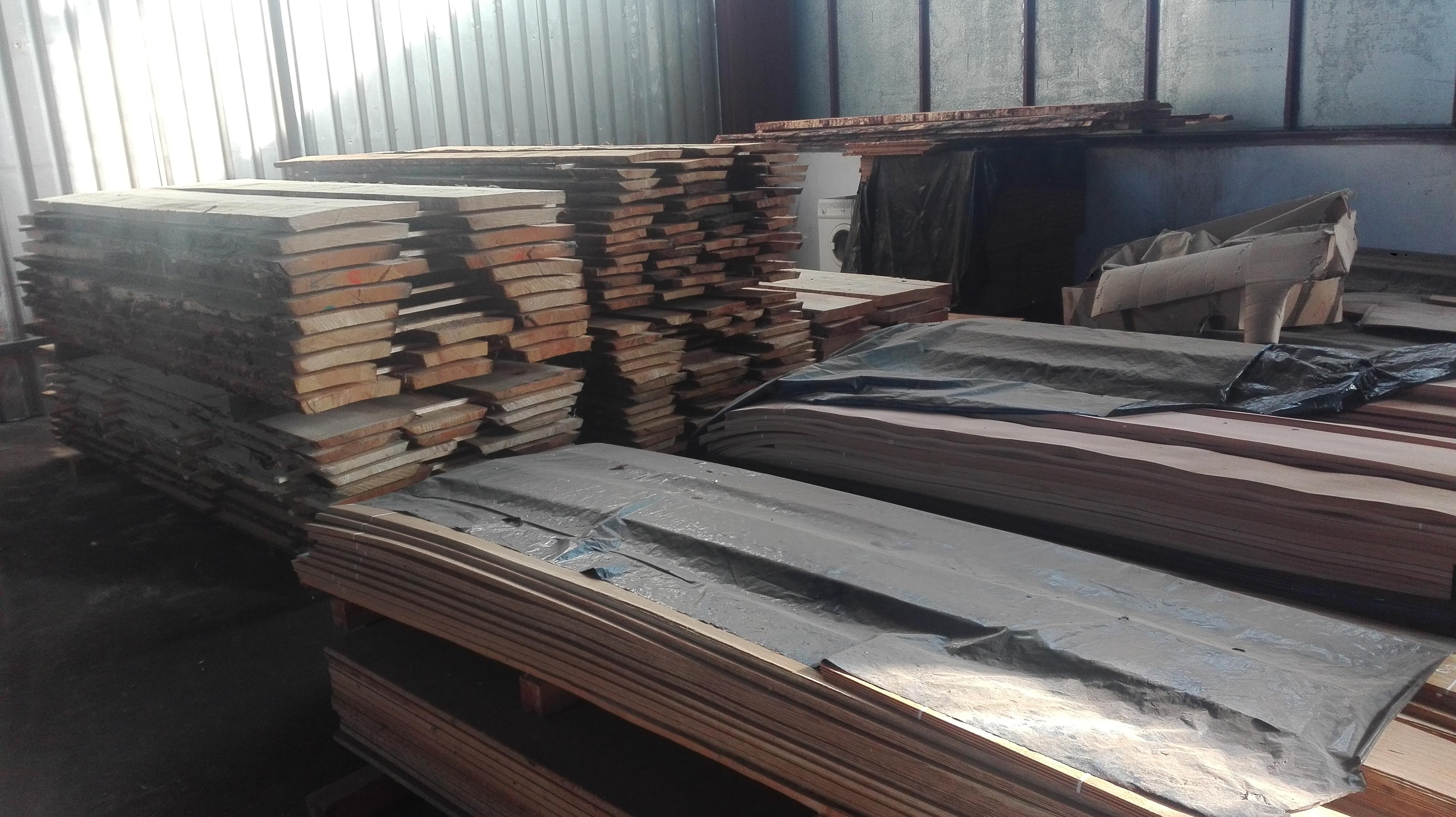 Michal Hladík foto 3