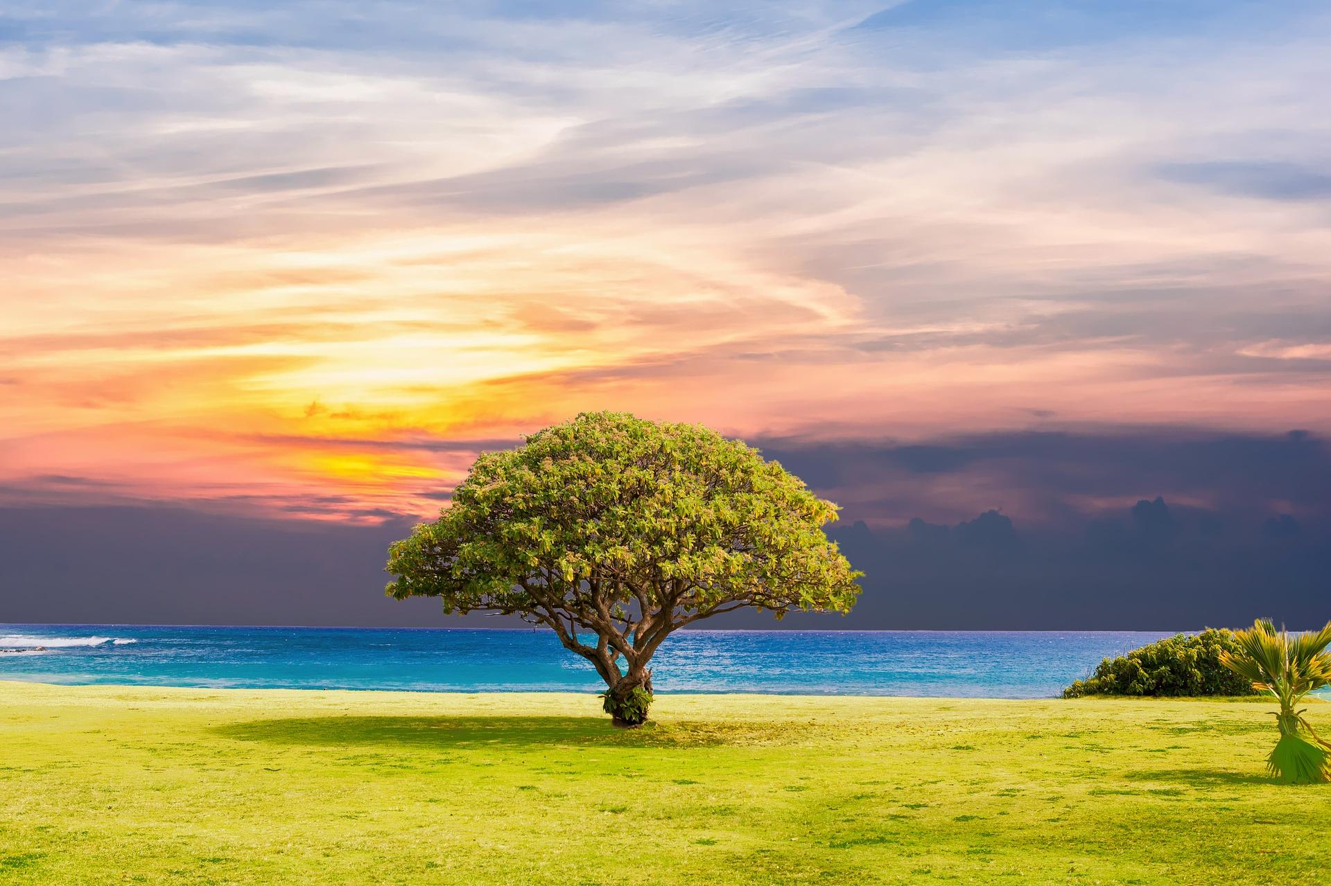 Harmonie s Markétou - Markéta Klimková