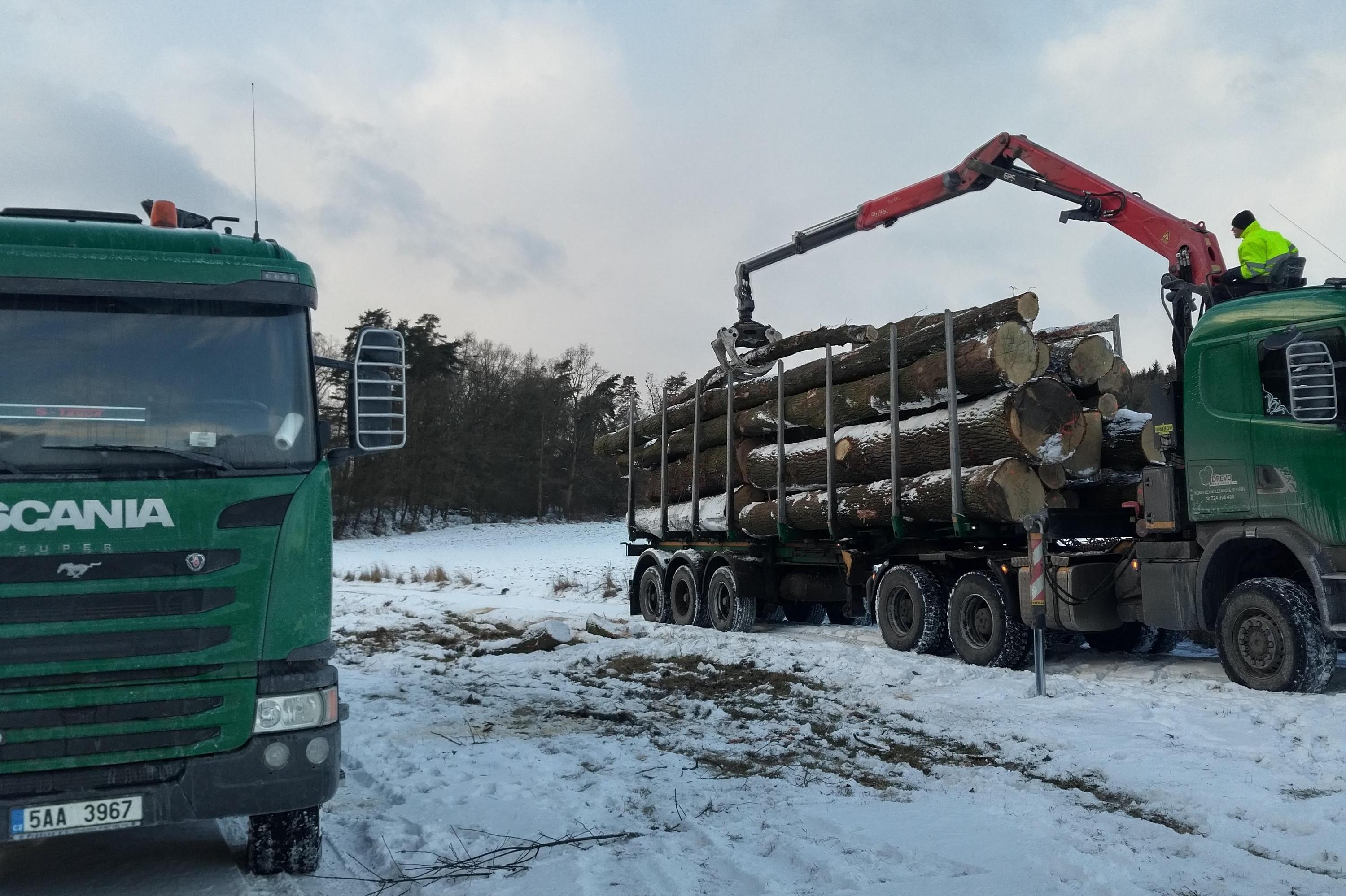 Výkup kulatiny a dřeva - PORT WOOD, s.r.o.