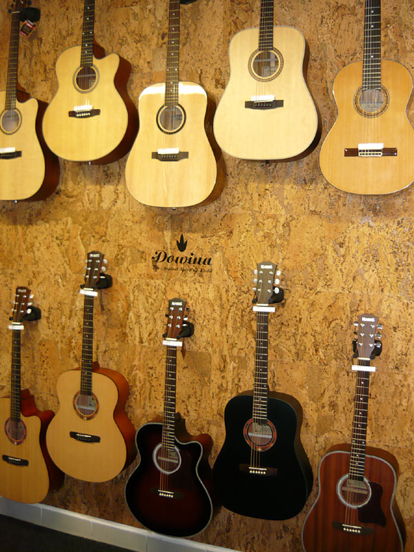 VIVA MUSICA foto 4