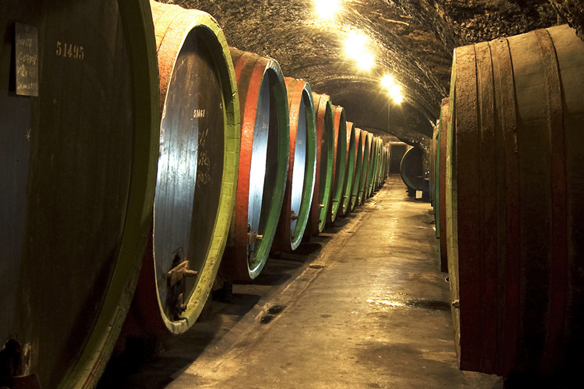 Vinařství Zámecké sklepy Strážnice