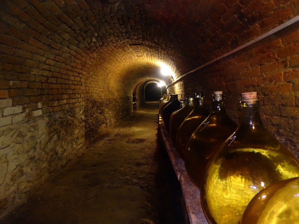Penzion u Šimečků foto 3