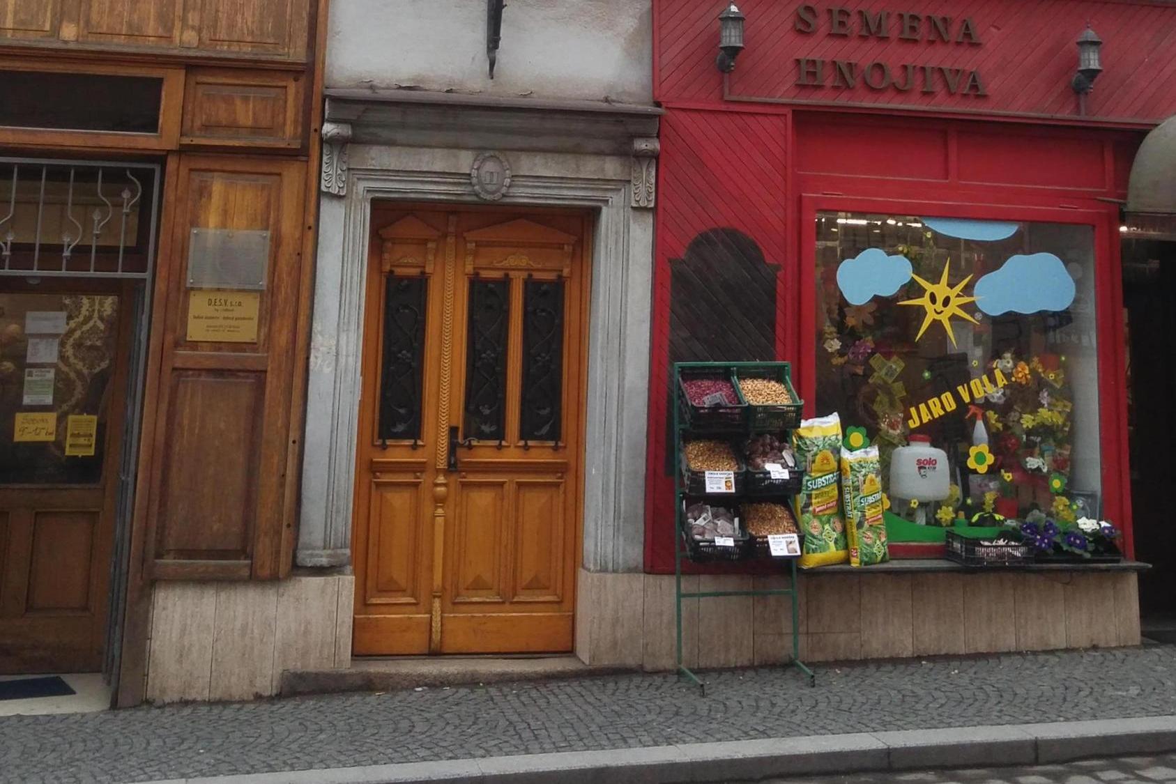 Bc. Pavlína Sutrová