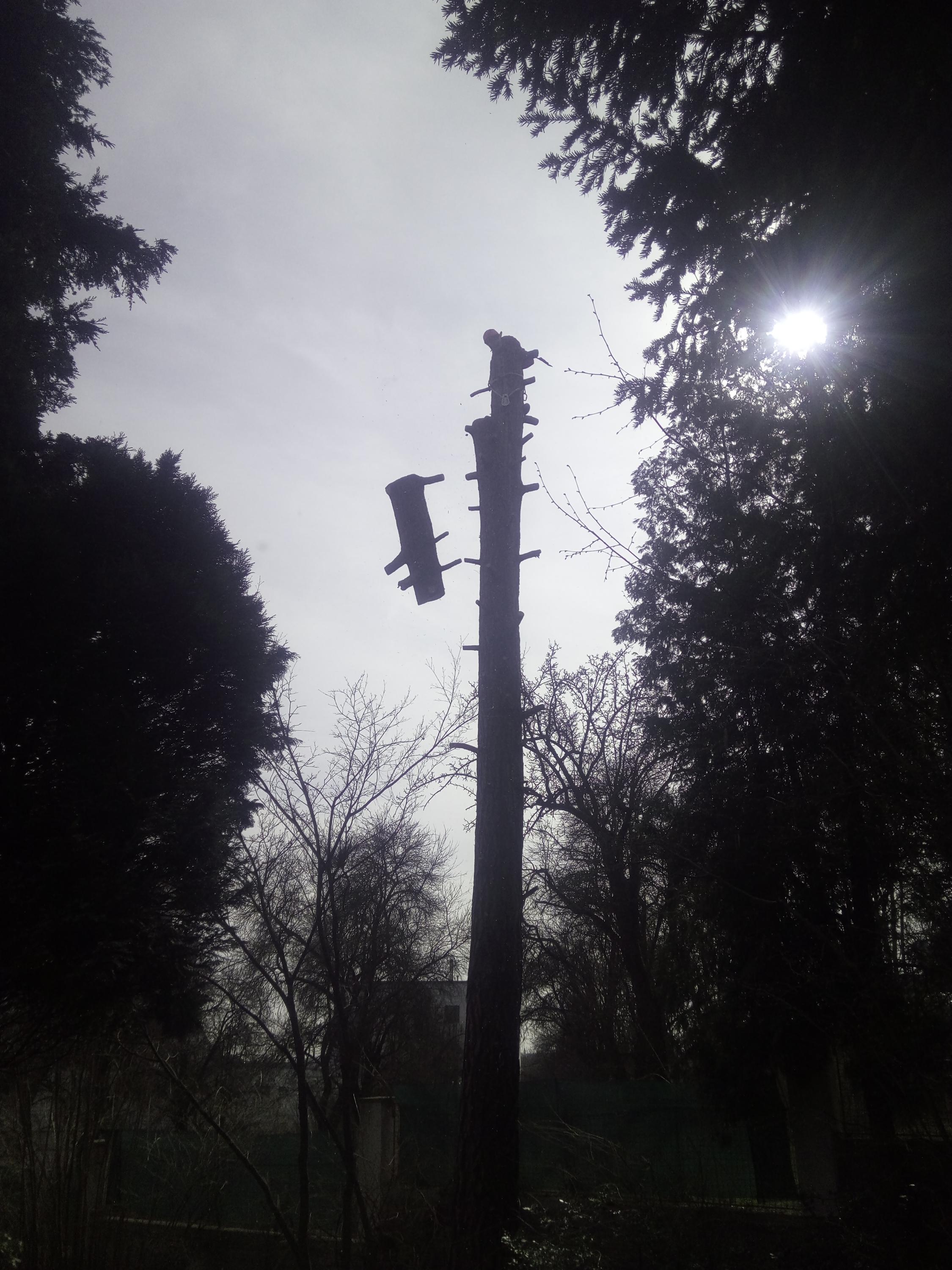 Mário Hamarčák foto 4