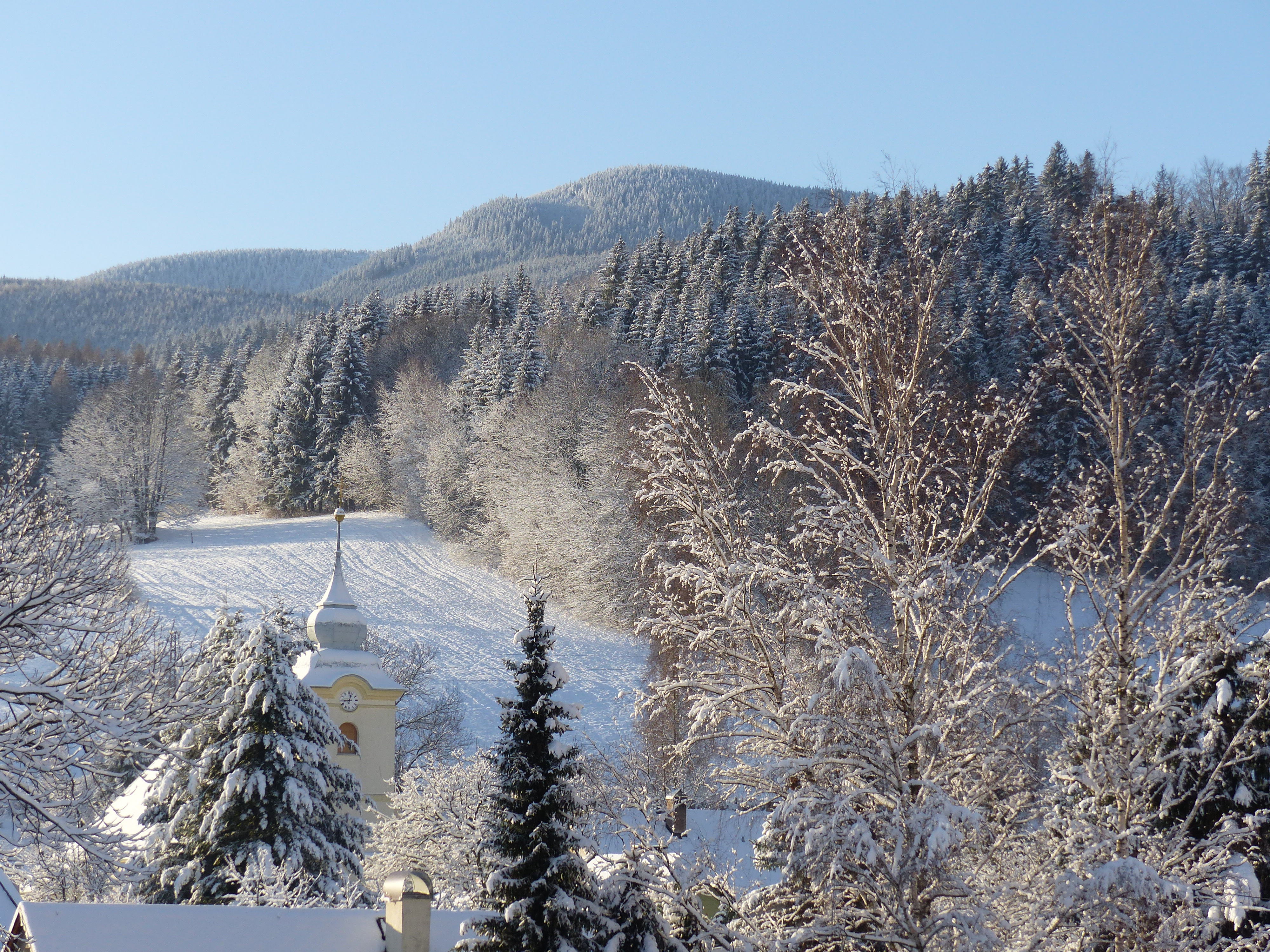 Villa Plischke foto 3