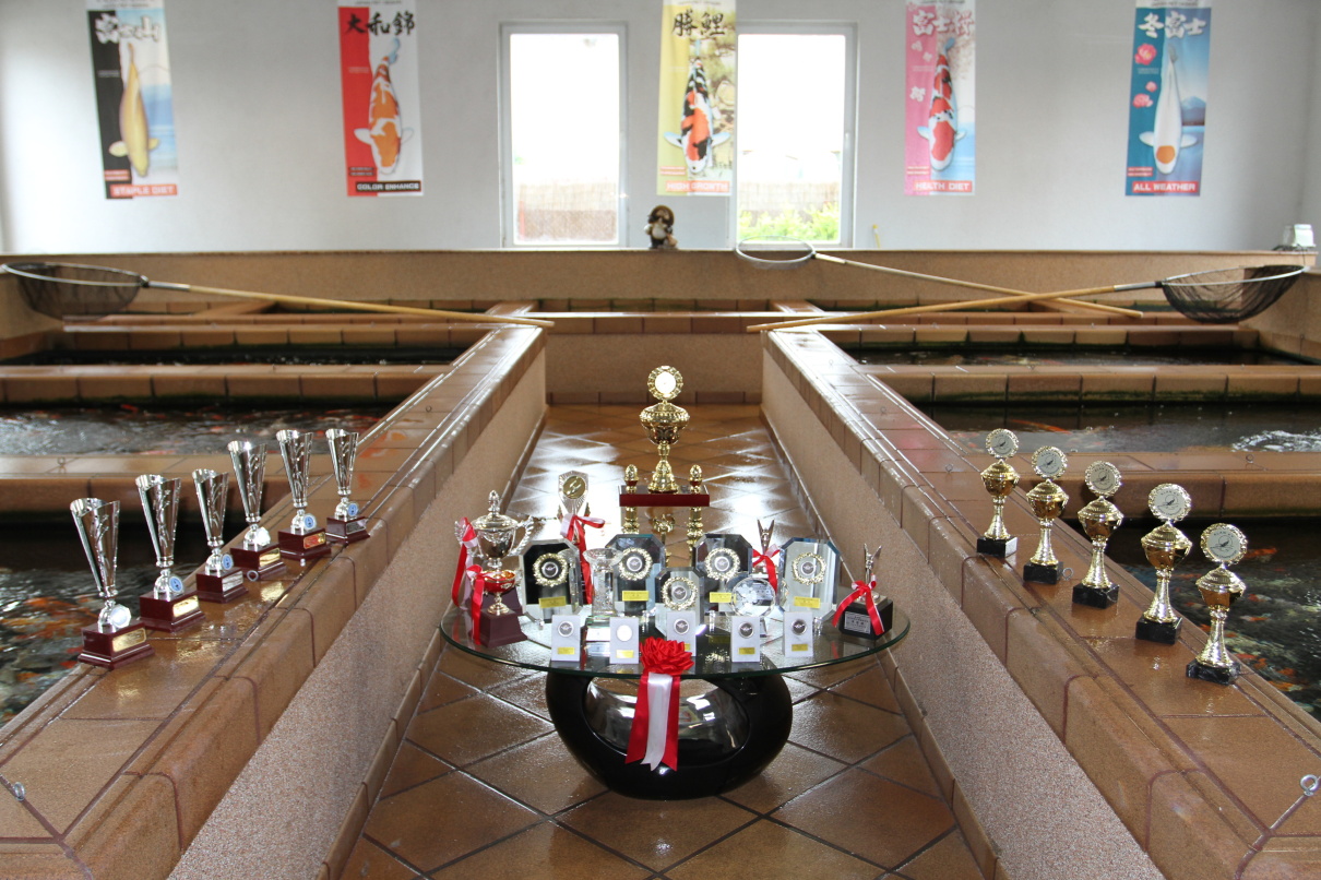 AQUATICA KOI CENTRUM foto 4