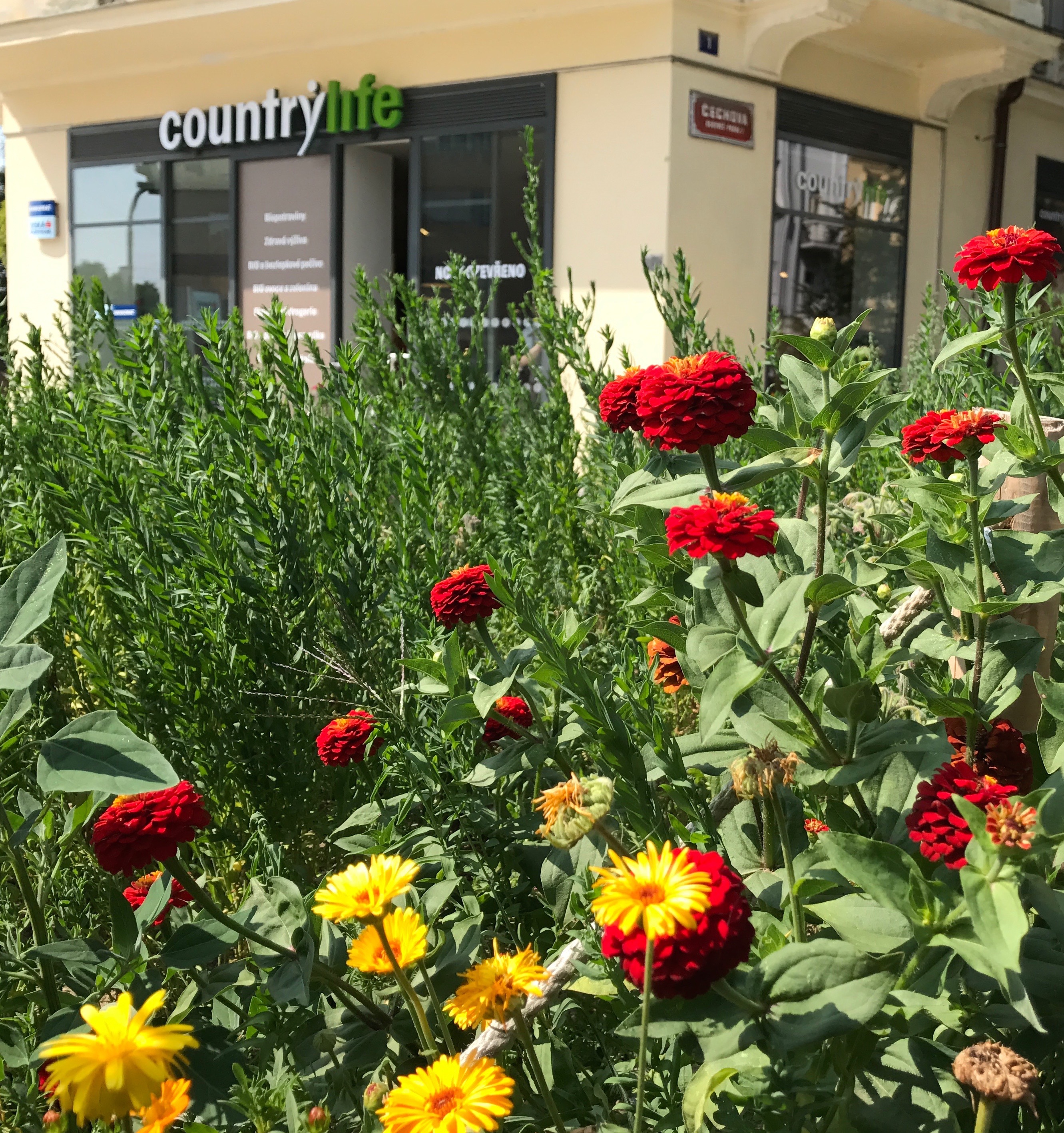 Prodejna biopotravin Country Life foto 6