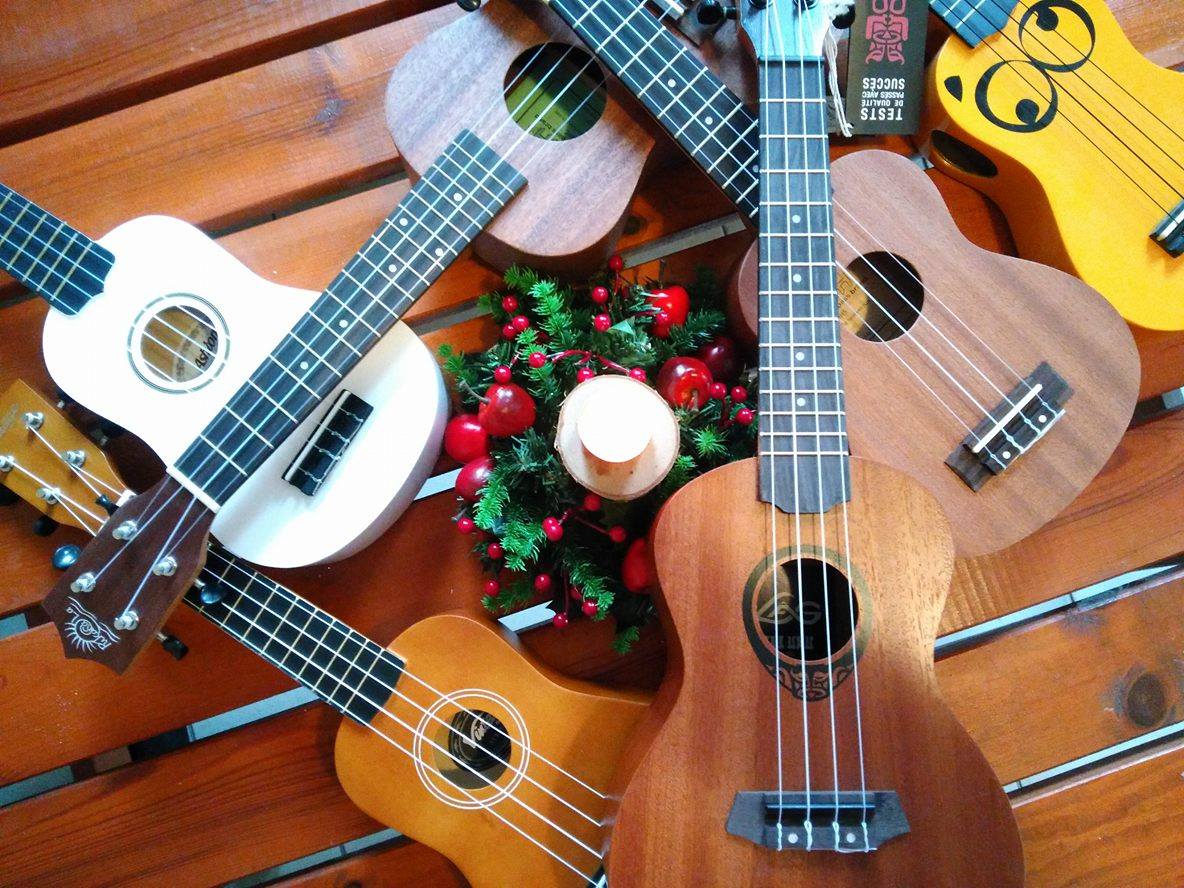 Hudební nástroje Papírník foto 2