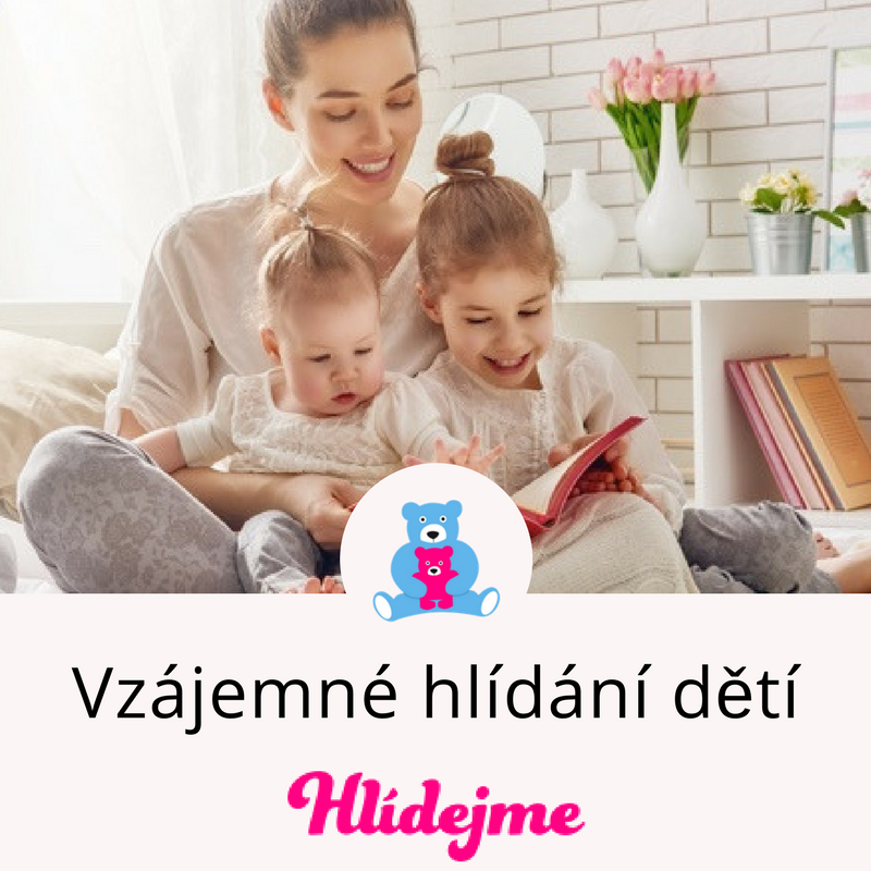 Hlídejme.cz foto 2